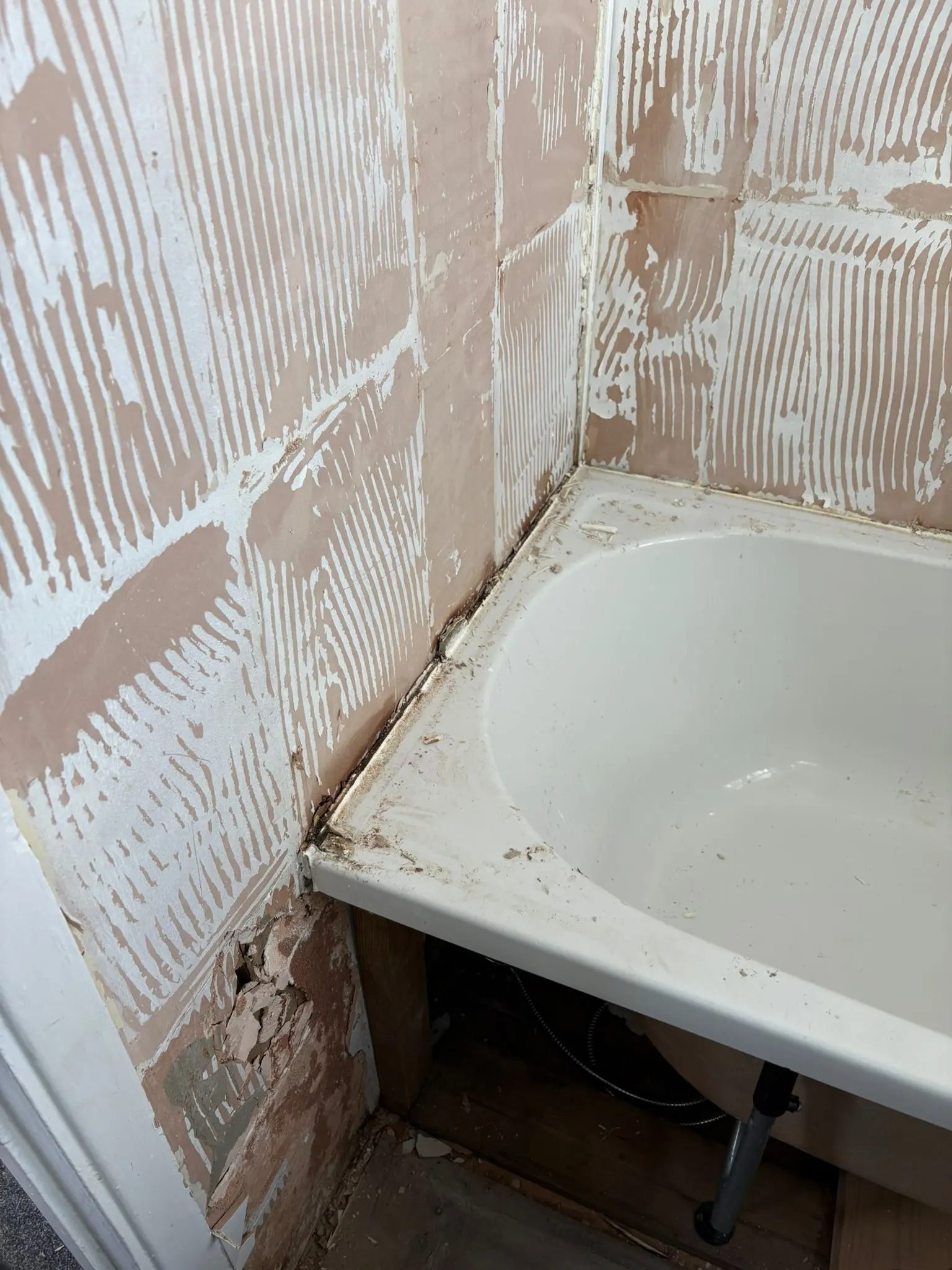 Damp Detection Surveys by Fact Services 