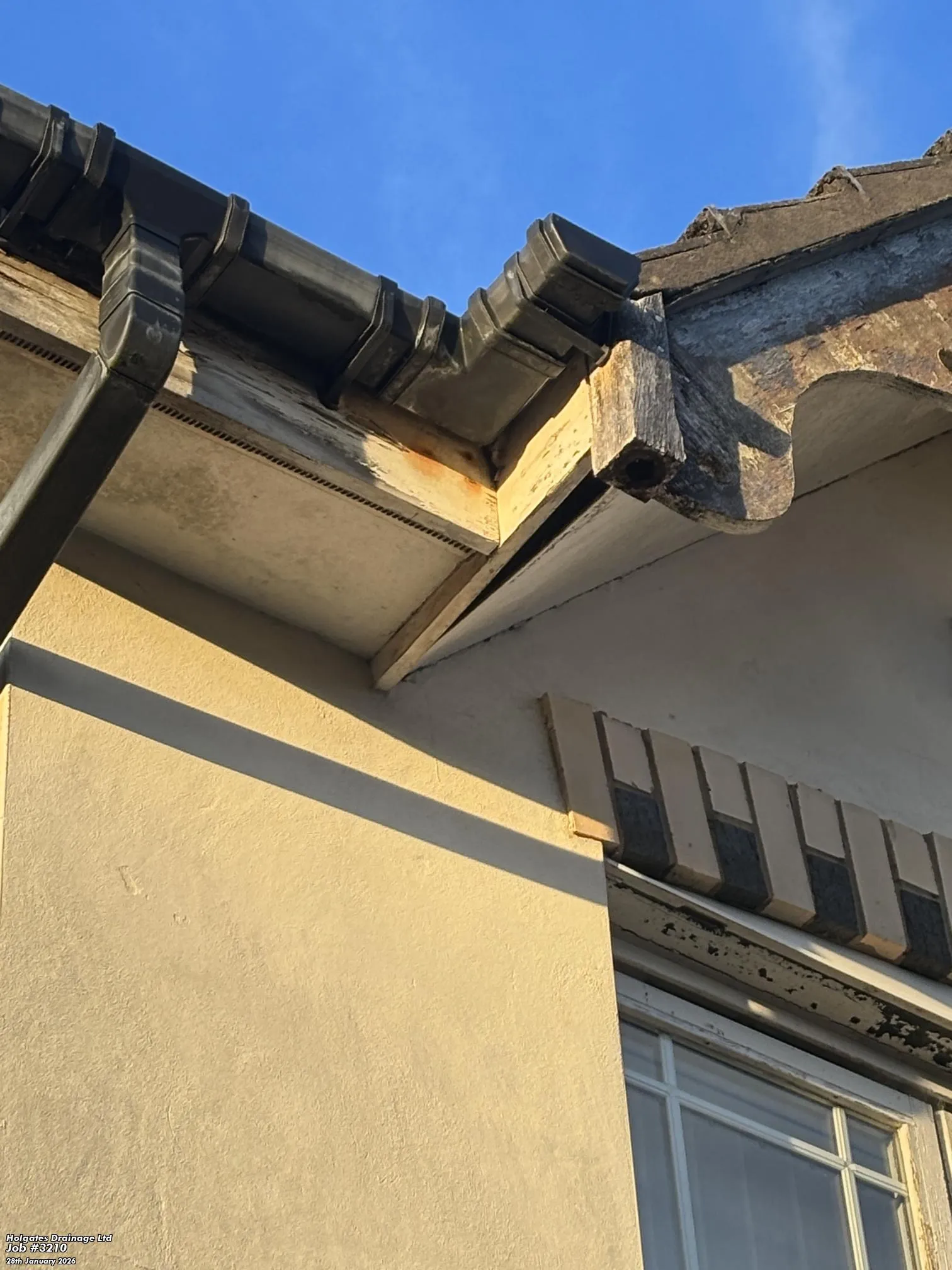 A gap in the roofline and fascia of a house, representing a common entry point for rodents or squirrels that needs professional pest proofing.
