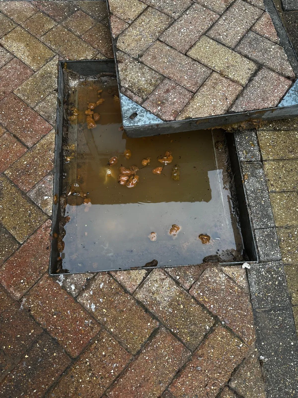 An overhead view of an open manhole cover showing a blocked outdoor drain, filled with dirty, standing water and debris. The surrounding area is paved with brick-style block paving, which also appears damp and discoloured.