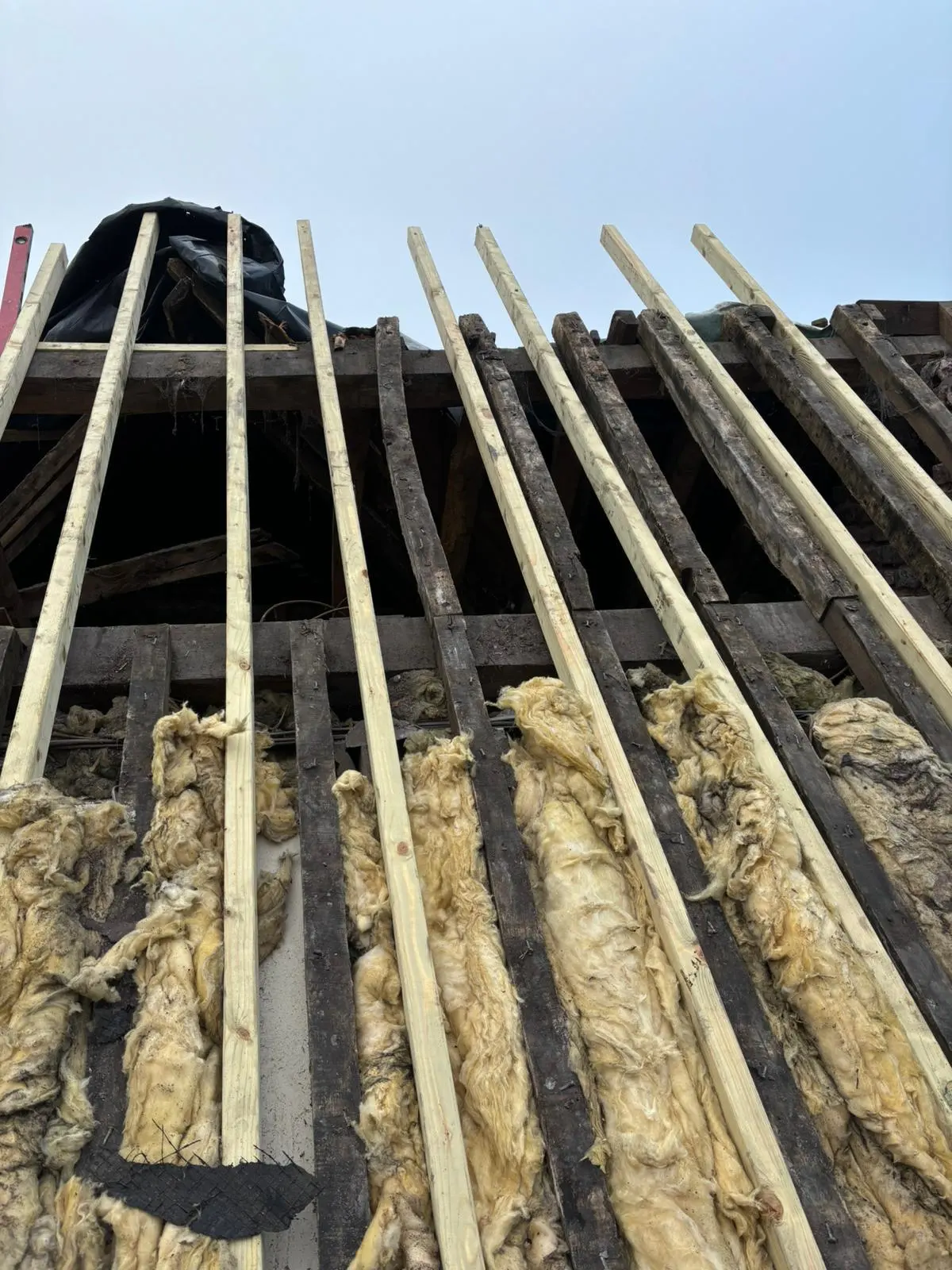 Exposed wooden roof rafters and loft insulation during a roof replacement or repair