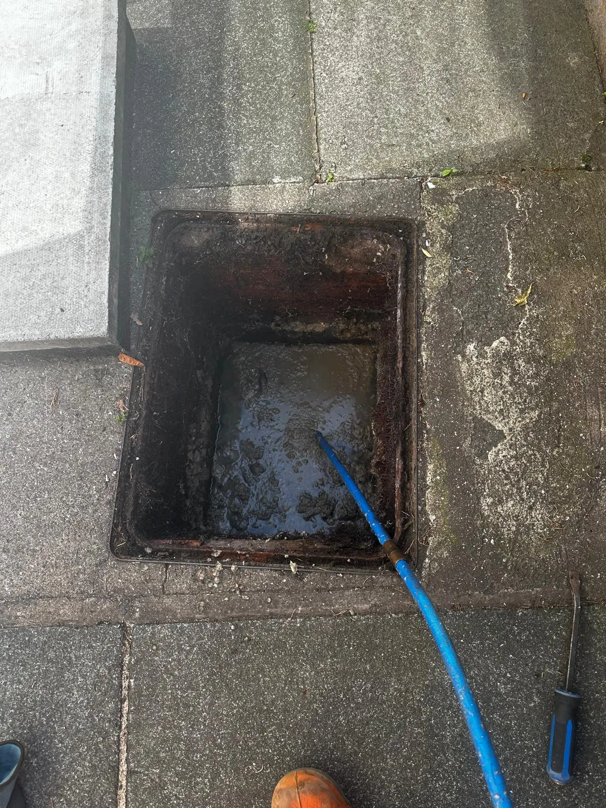 An overhead view of a blocked outdoor drain or manhole with murky water and a drain rod, indicating drainage work in progress.