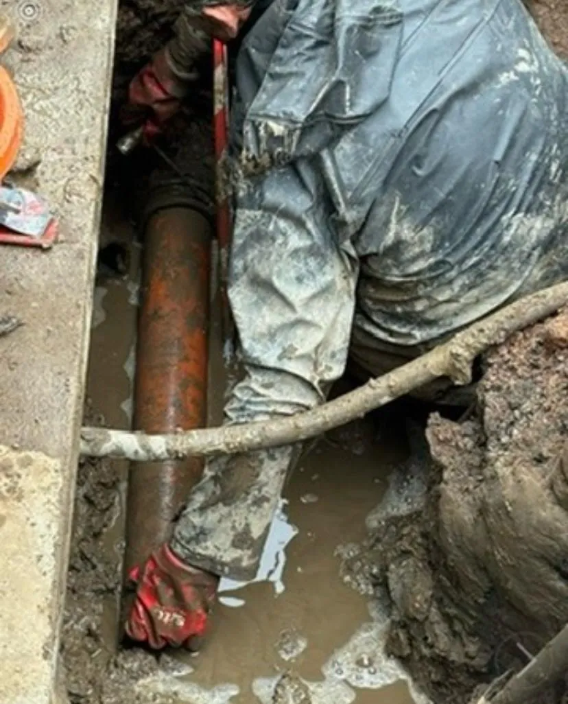 WhatsApp Image 2025-10-31 at 16.40.00 (3).jpeg.webp