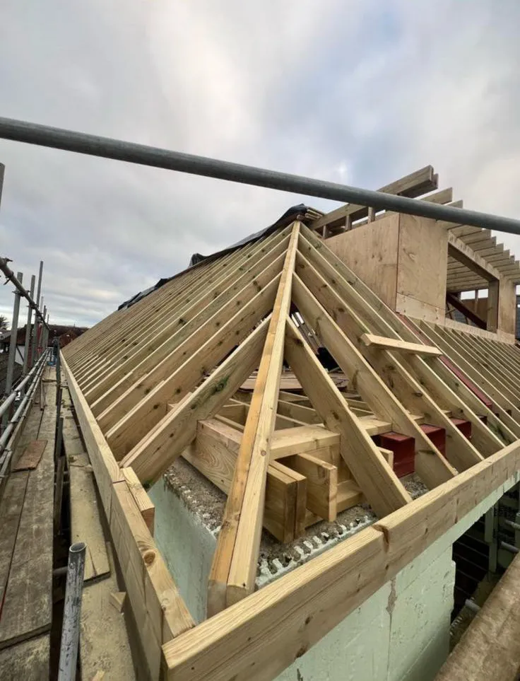 New timber roof rafters and hip framing installed on a residential pitched roof extension in Plymouth