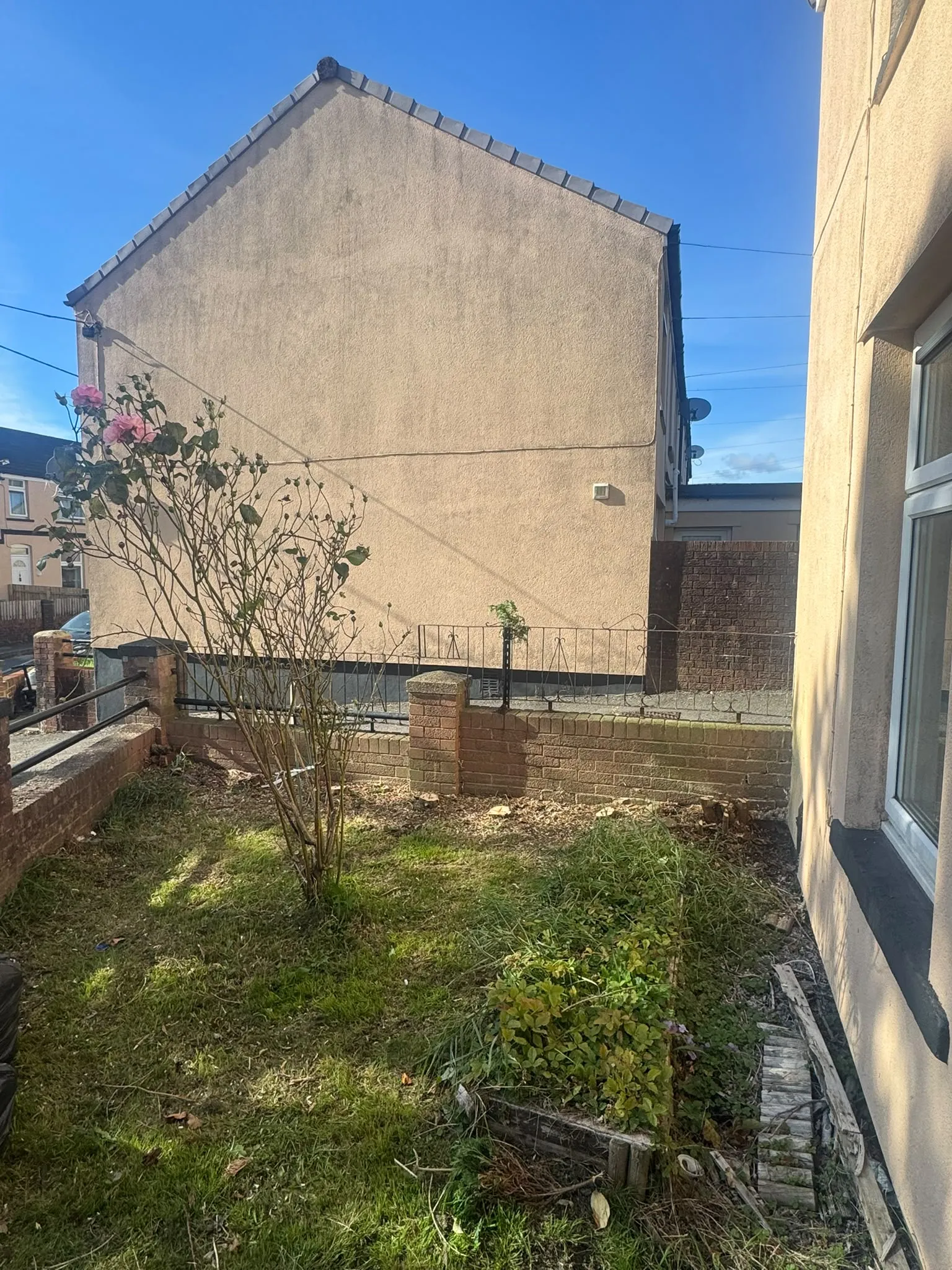 Residential garden clearance and hedge stump removal in Pontypool
