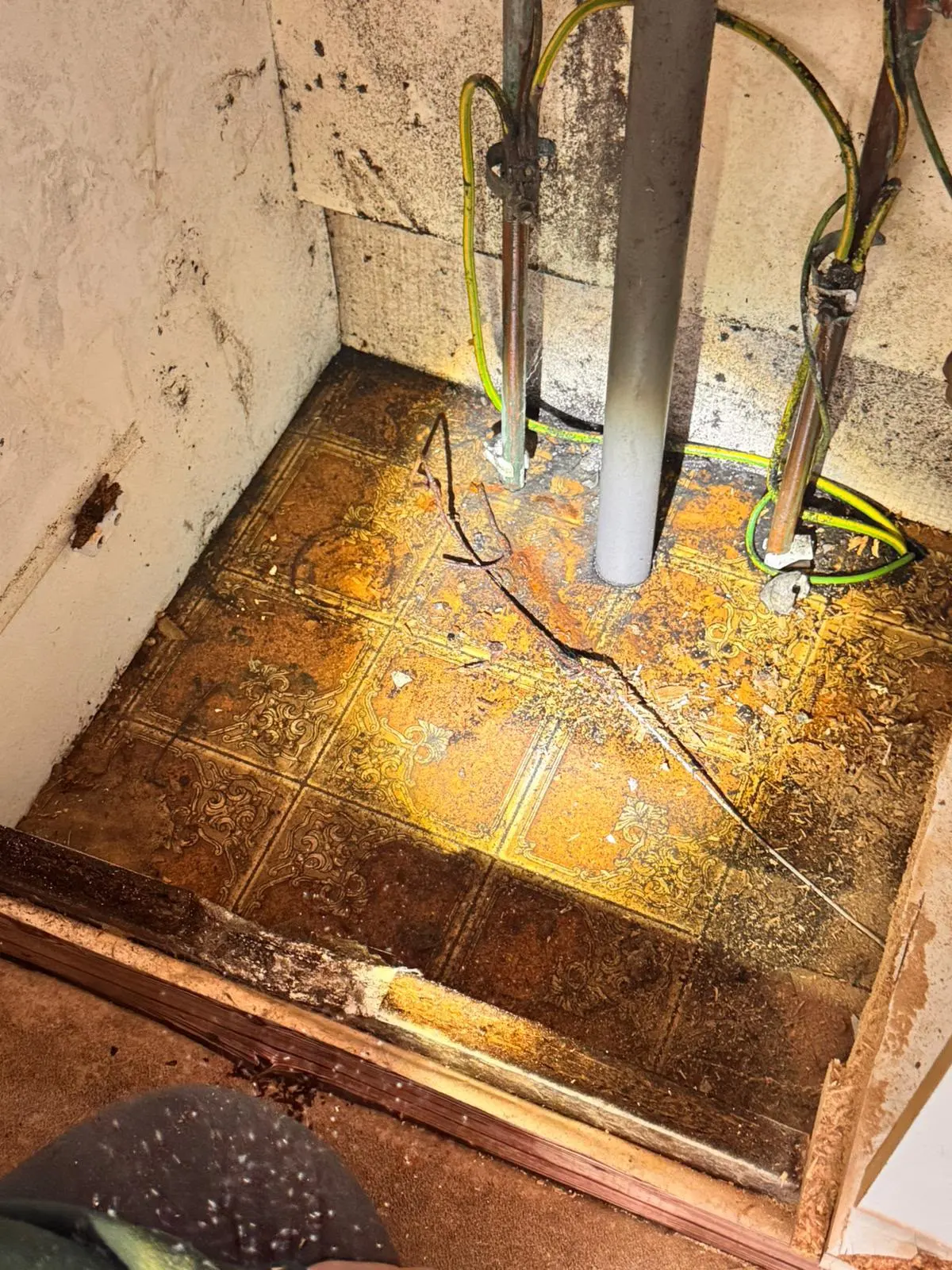 Water-damaged flooring and damp walls surrounding plumbing pipes in a utility cupboard, showing signs of a hidden leak.
