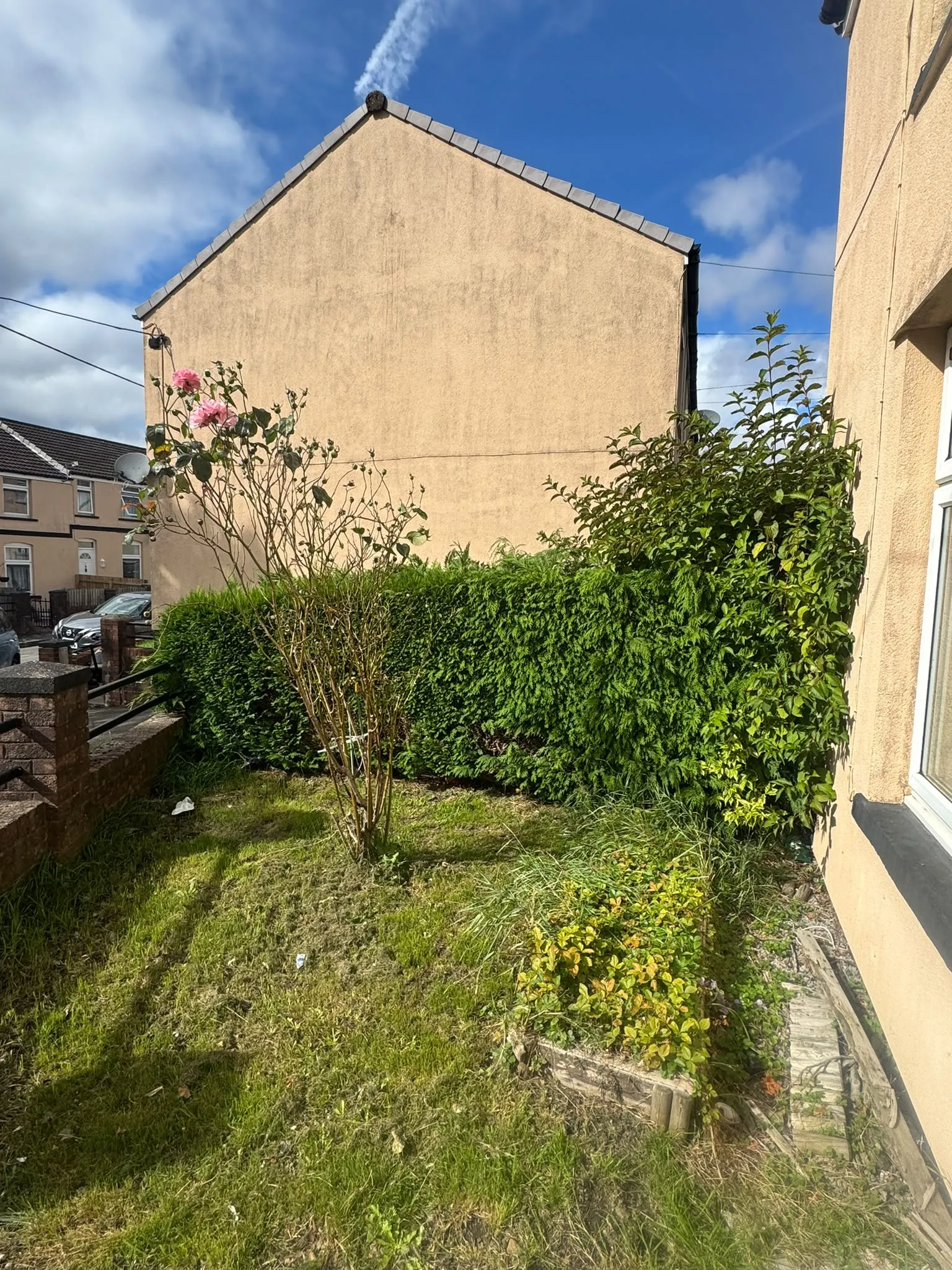 Overgrown residential hedge and garden boundary needing hedge trimming and maintenance in South Wales