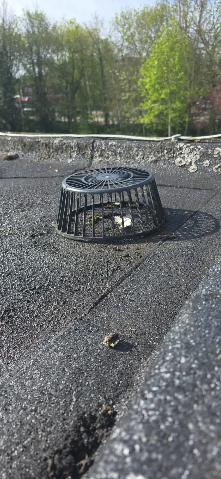 Leaf guard on a flat roof drainage outlet