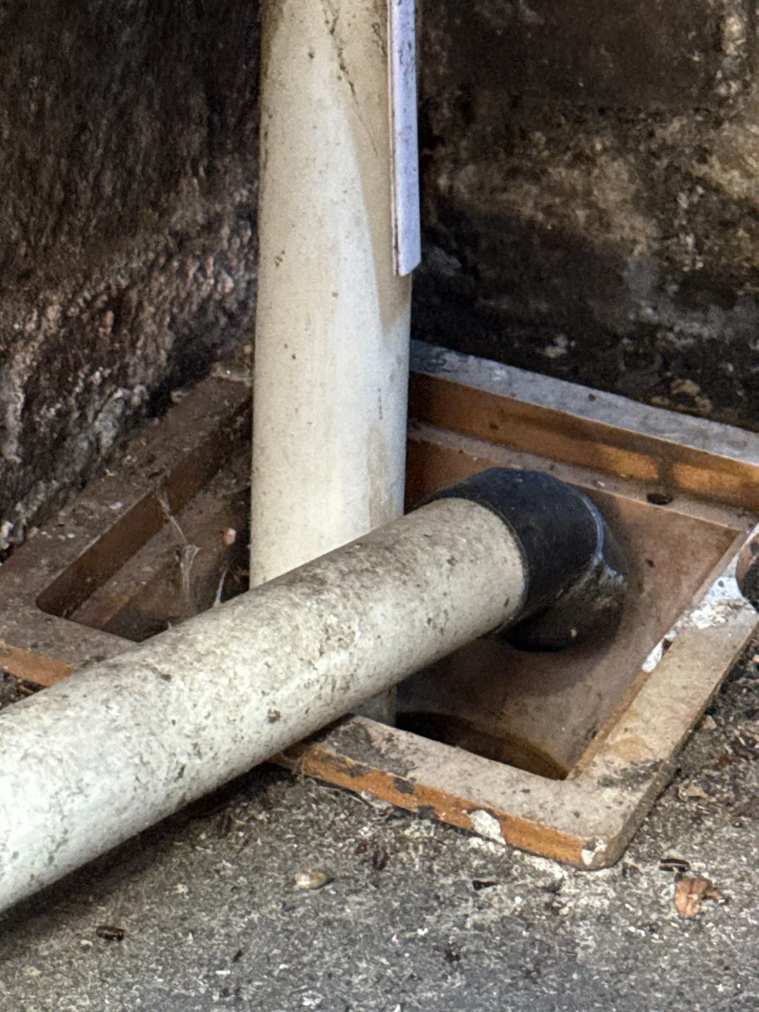 A photograph showing pipes leading into a grimy drain, with numerous small, dark rodent droppings scattered on the ground and inside the drain opening, highlighting a rodent problem.