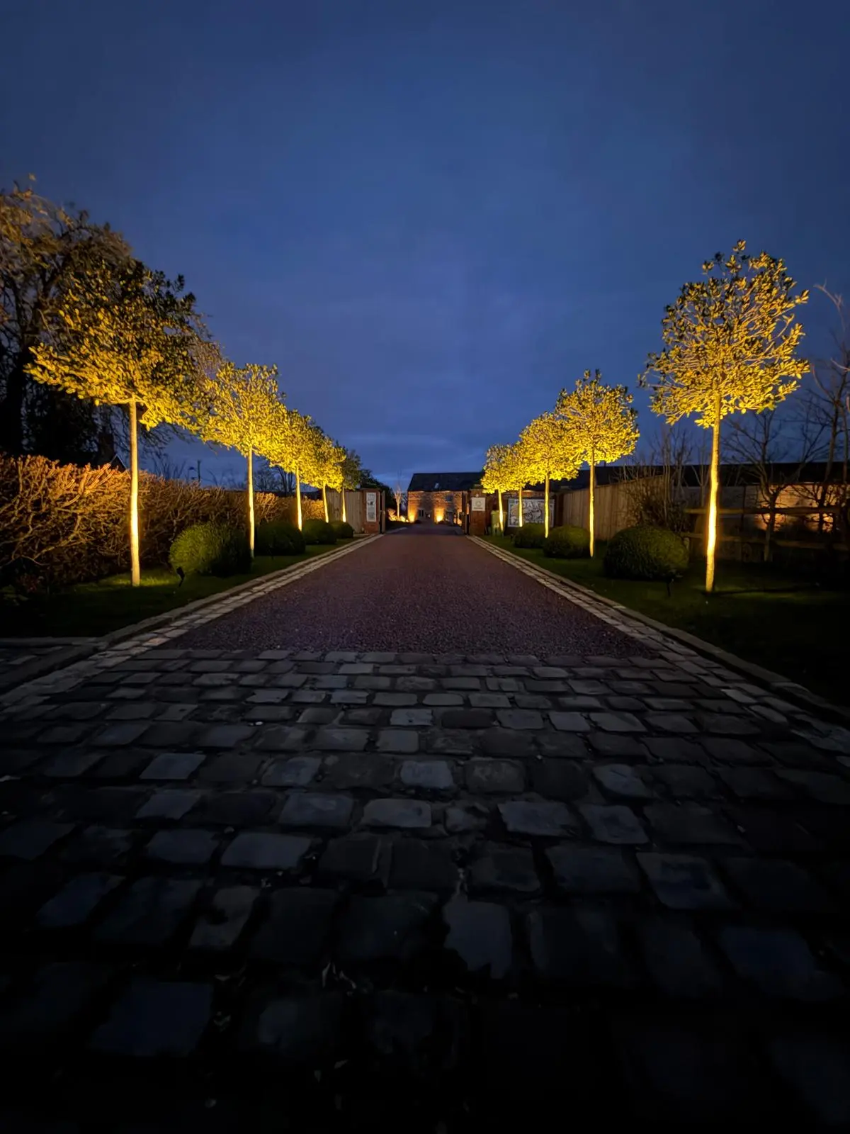 Expert driveway and landscape lighting installation featuring tree uplighting along a paved path at night, by JH Electrical Contractors Ltd.