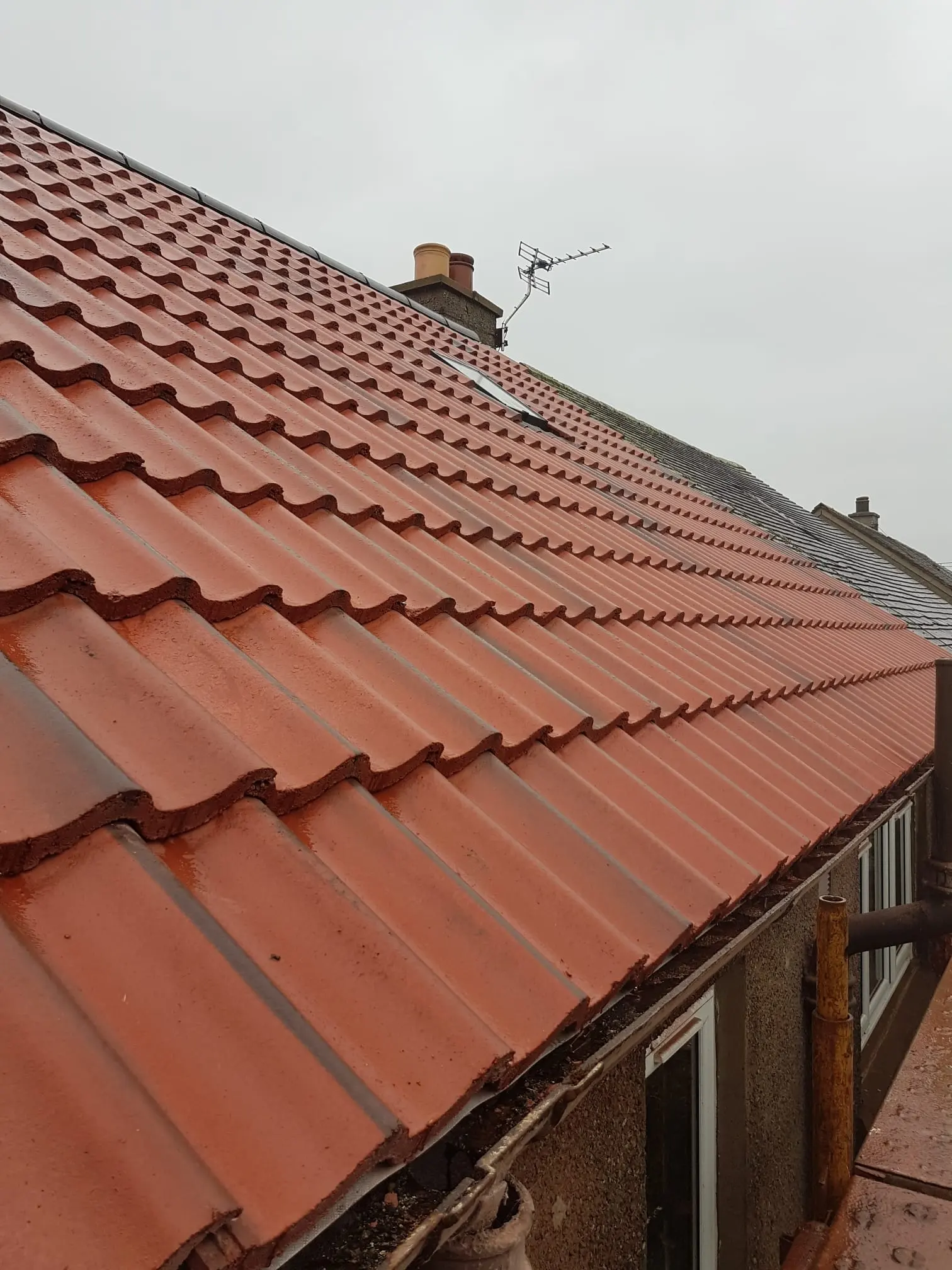 Newly installed red tiled roof on a residential home in Fife by RM & SON ROOFING & PROPERTY CARE
