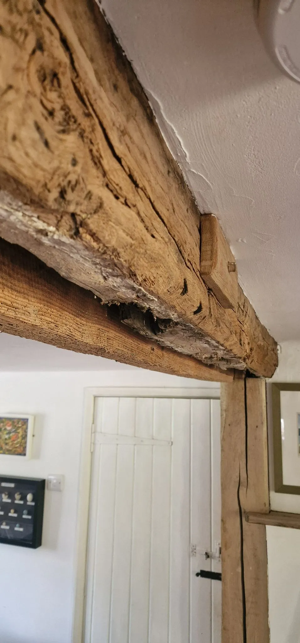 A detailed view of a damaged wooden ceiling beam, indicating possible woodworm infestation.