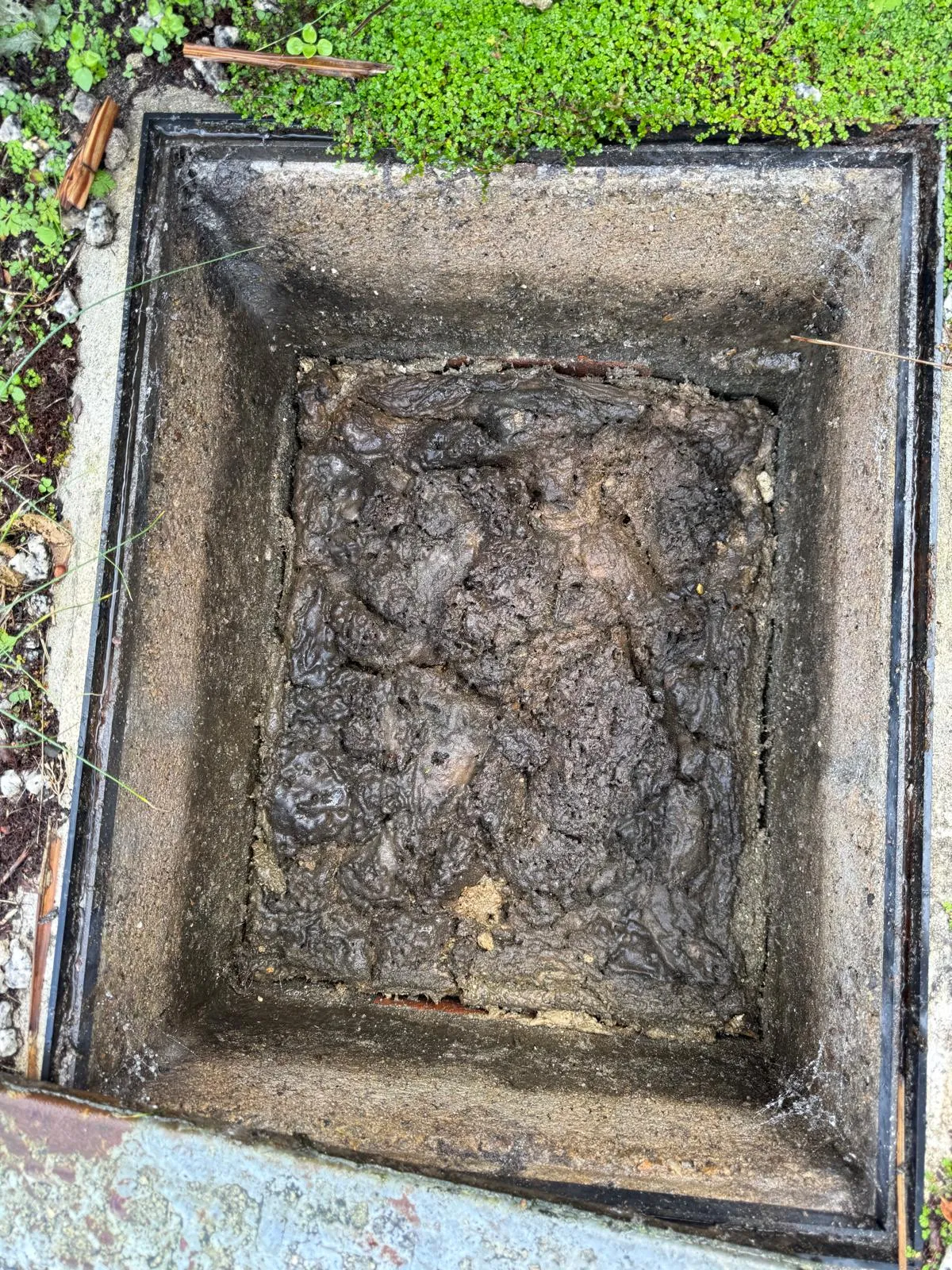 A close-up image of a severely blocked outdoor drain or manhole, overflowing with thick, dark, congealed waste, highlighting the need for professional unblocking services.