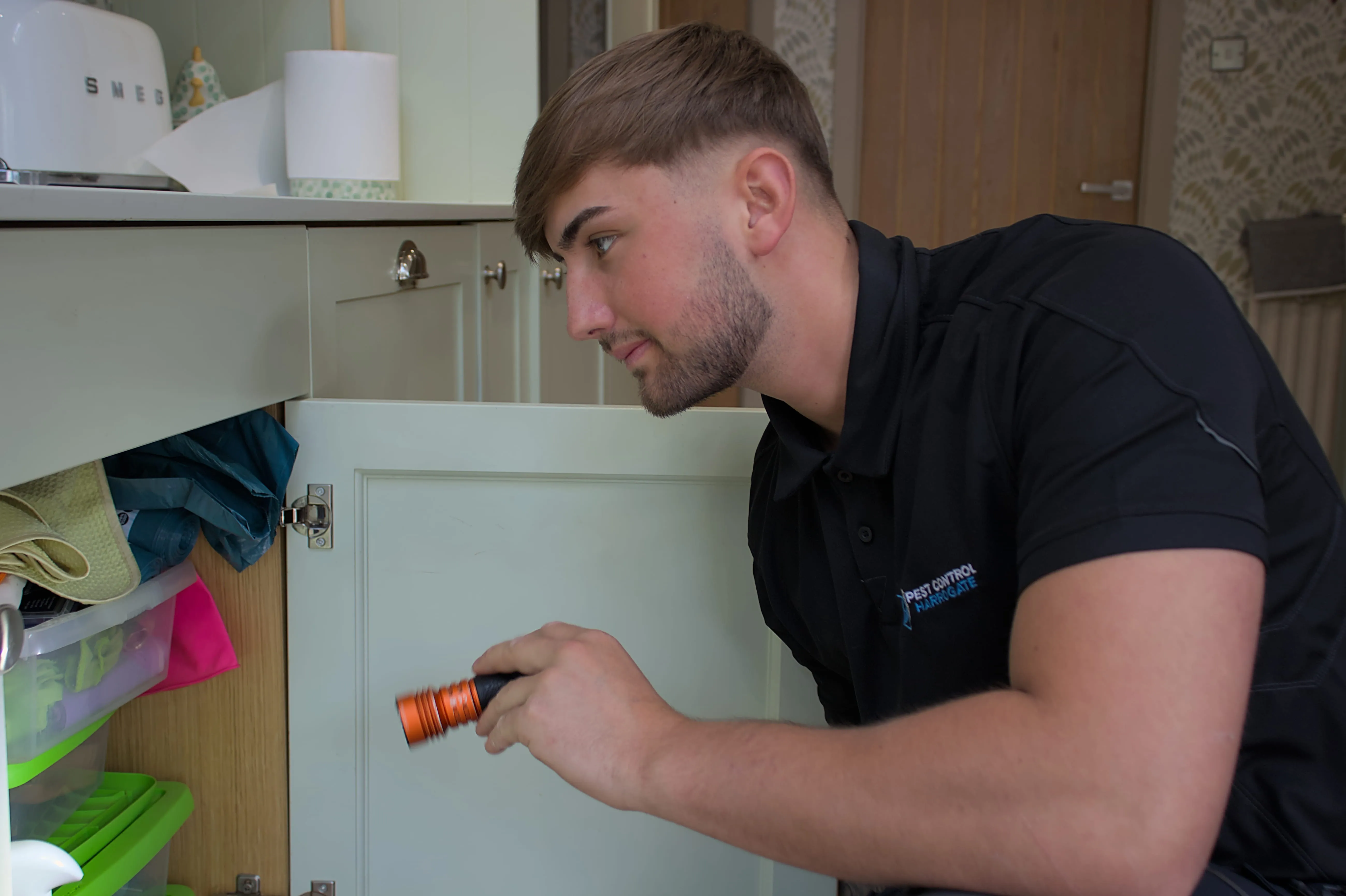 A Pest Control Harrogate expert conducting a domestic pest inspection inside a kitchen cabinet using a torch.