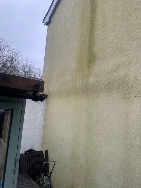 Exterior wall with stained and weathered render showing green algae growth