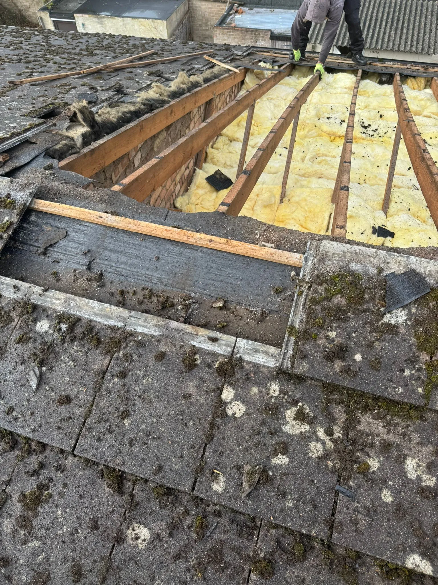 Roofers stripping back an old domestic roof to expose rafters and insulation during a re-roofing project in Cornwall.
