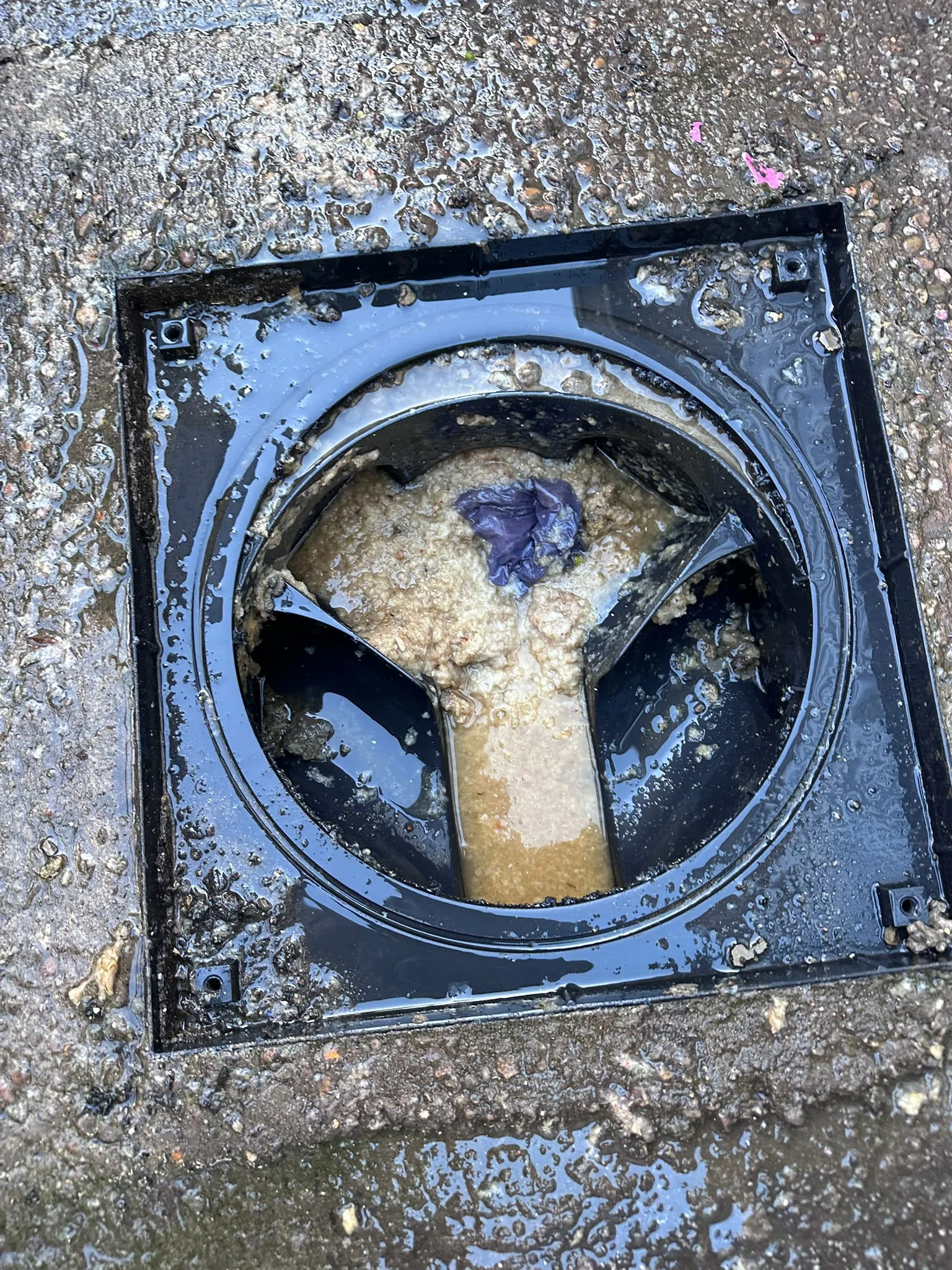 A close-up of a blocked external drain gully showing thick sludge and a cloth obstruction.