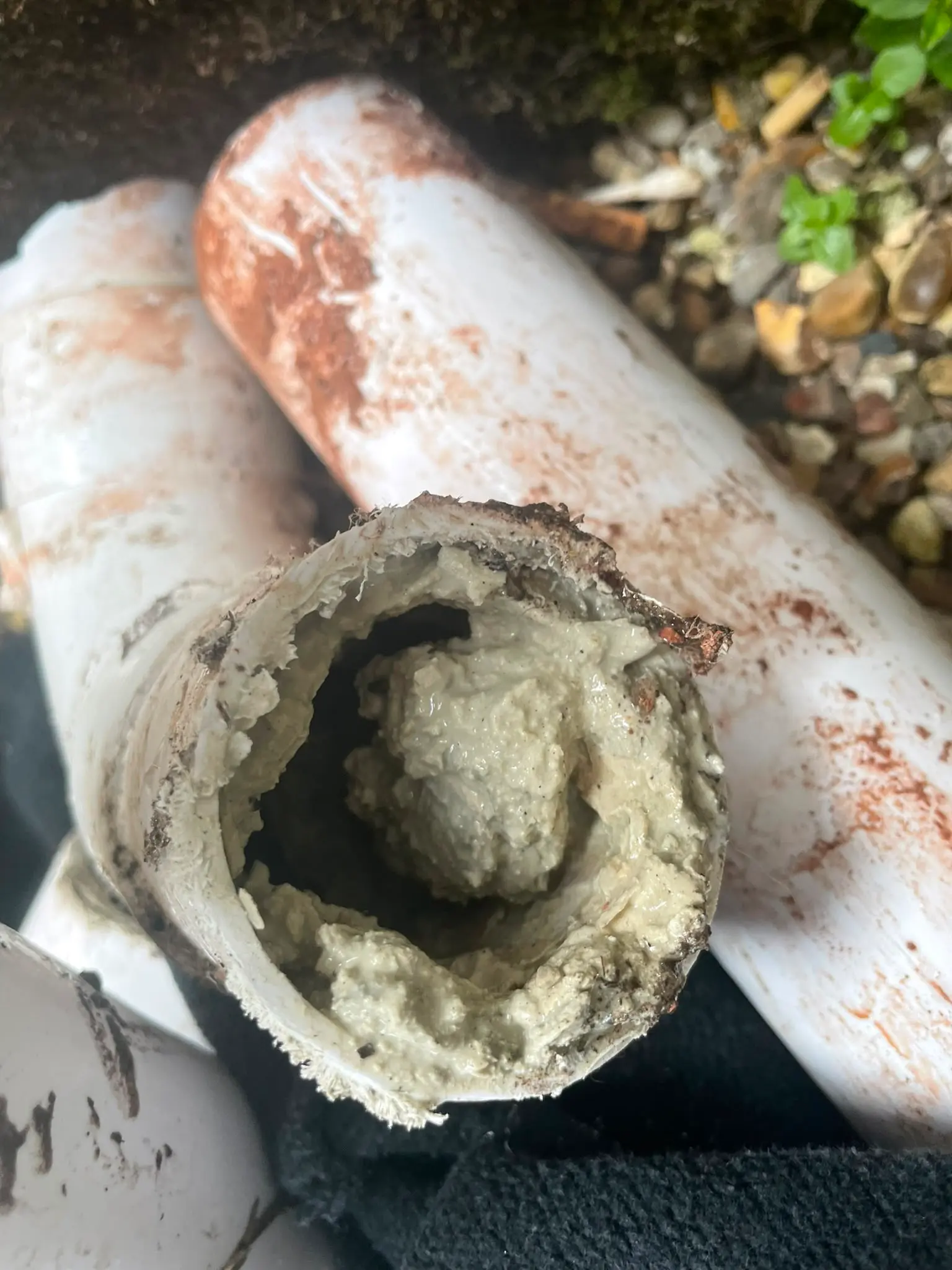 Close-up of a cut section of a white drain pipe completely blocked with thick, hardened waste