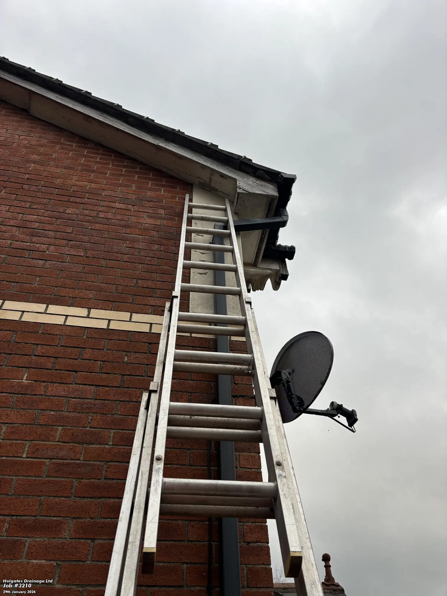 Commercial Pest Control by Pest Medic