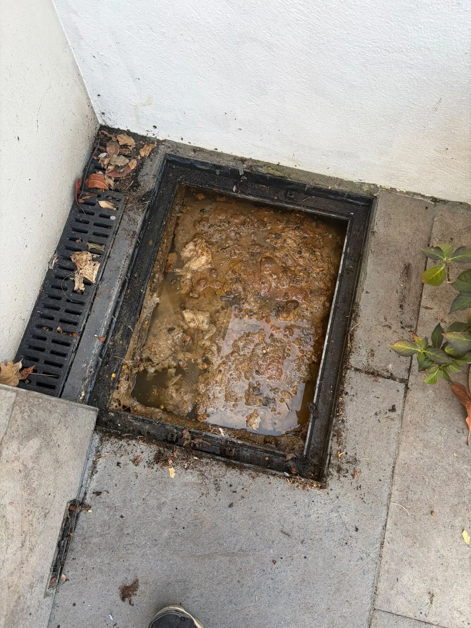Severely blocked external inspection chamber filled with standing sewage and debris in Slough