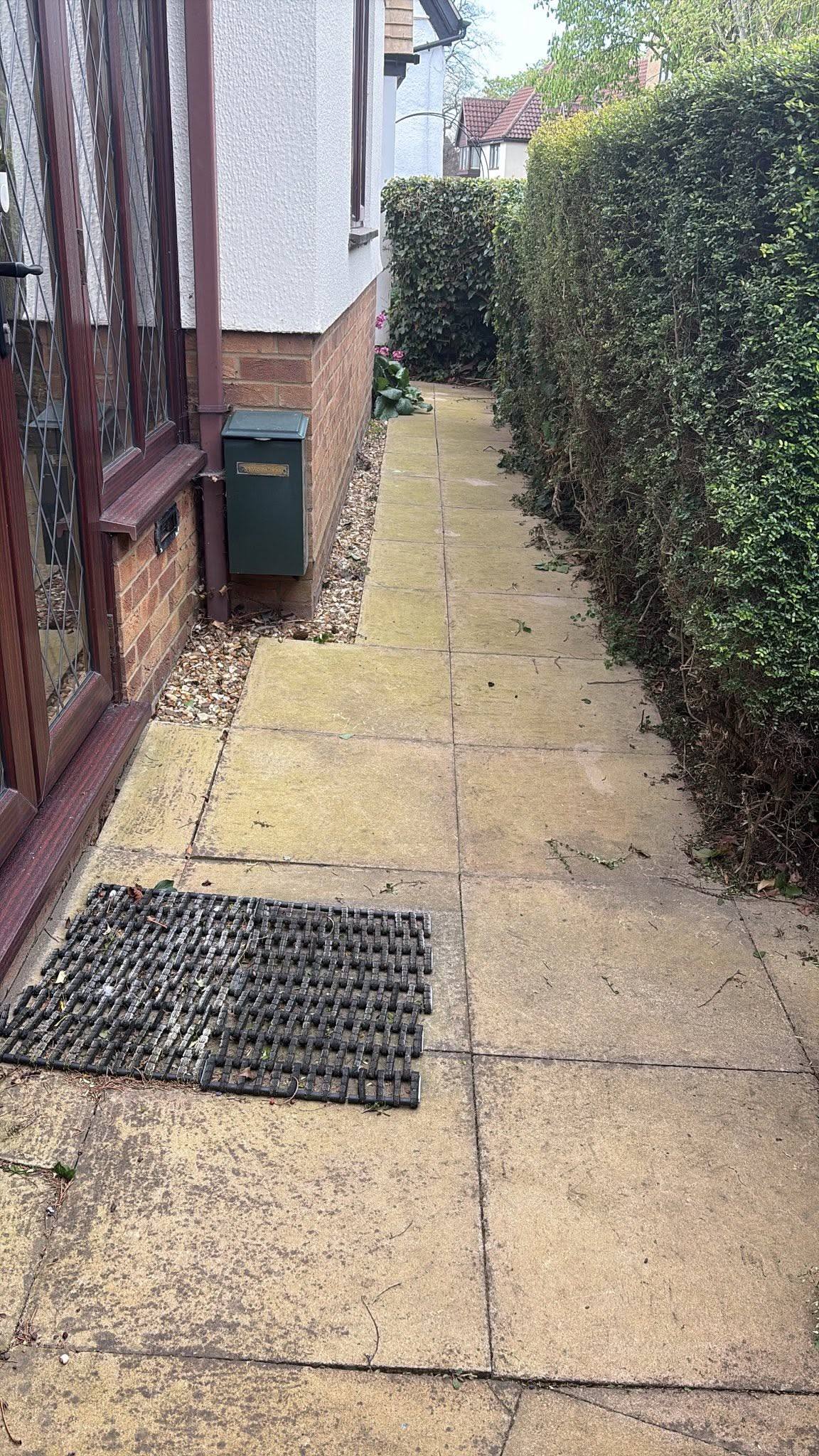 Paved side path and boundary hedge next to a house