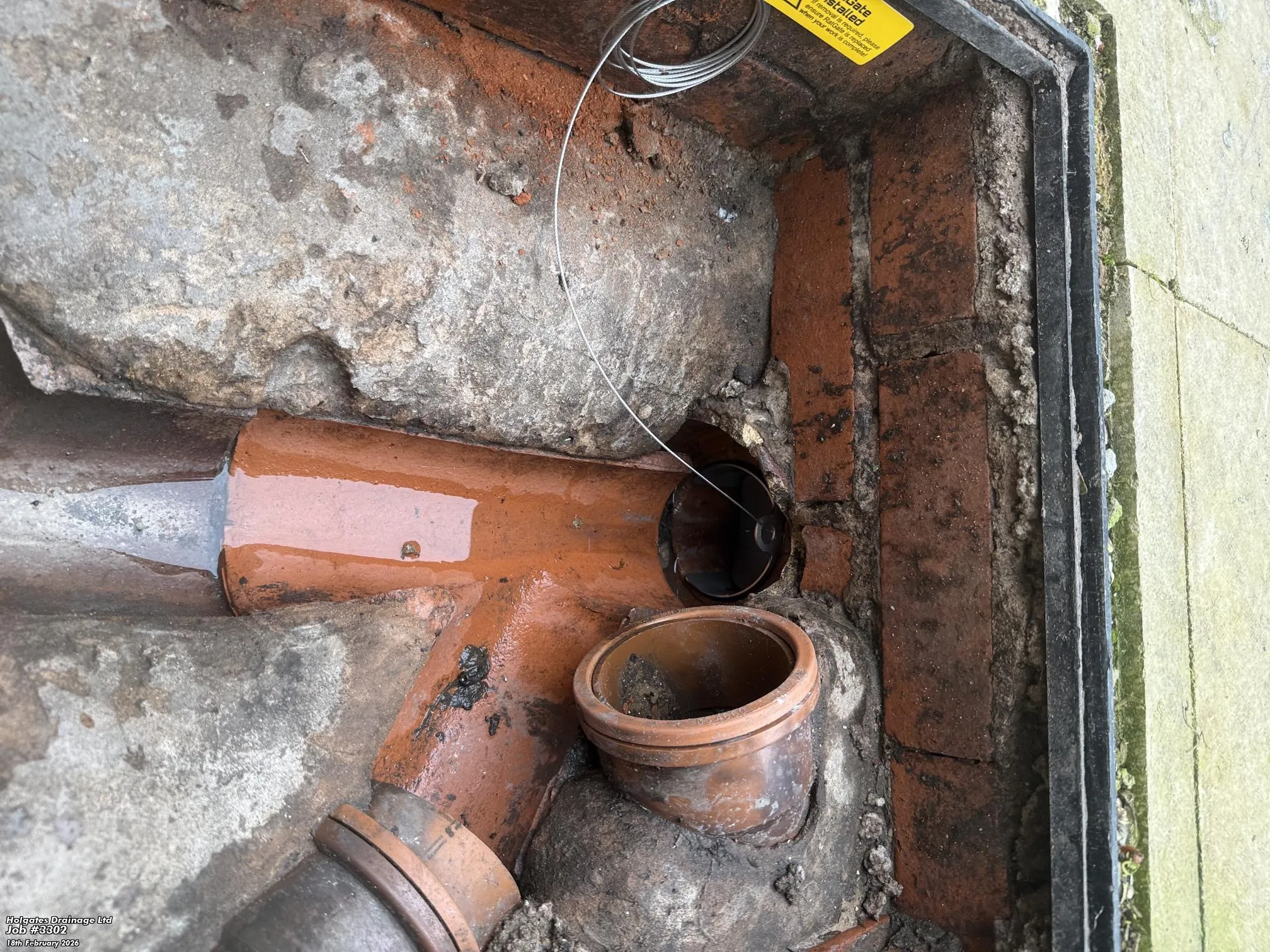Commercial Rodent Control by Pest Medic