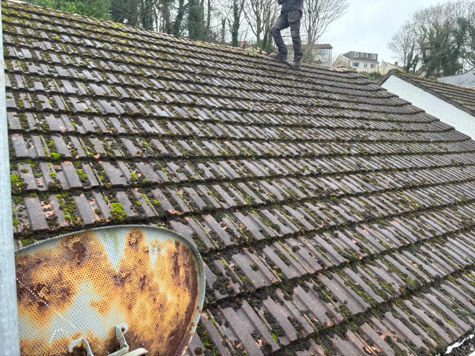A roofer inspecting a moss-covered tiled roof in Gloucestershire