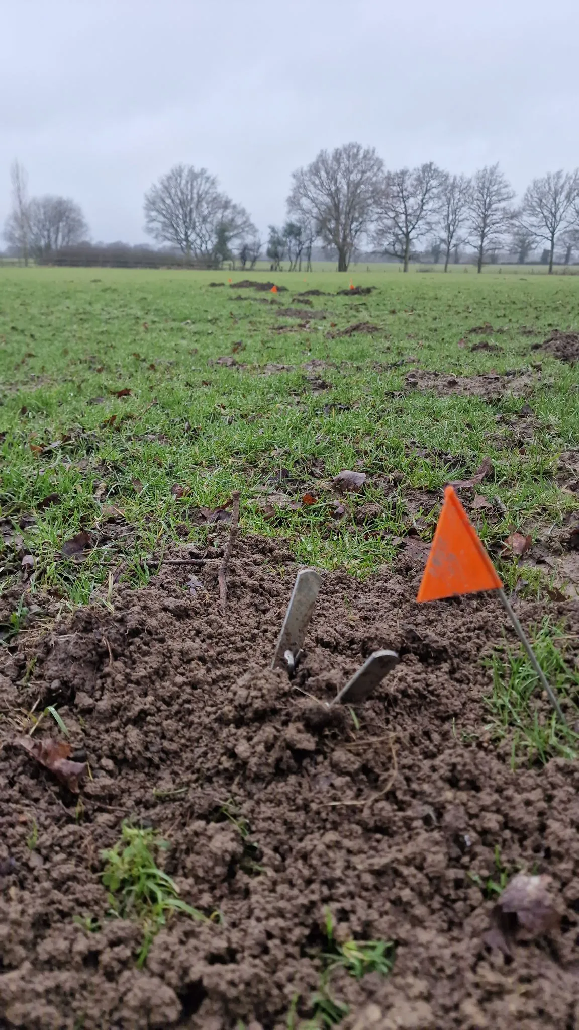 A mole trap set in a molehill with an orange marker flag in a green field under an overcast sky.
