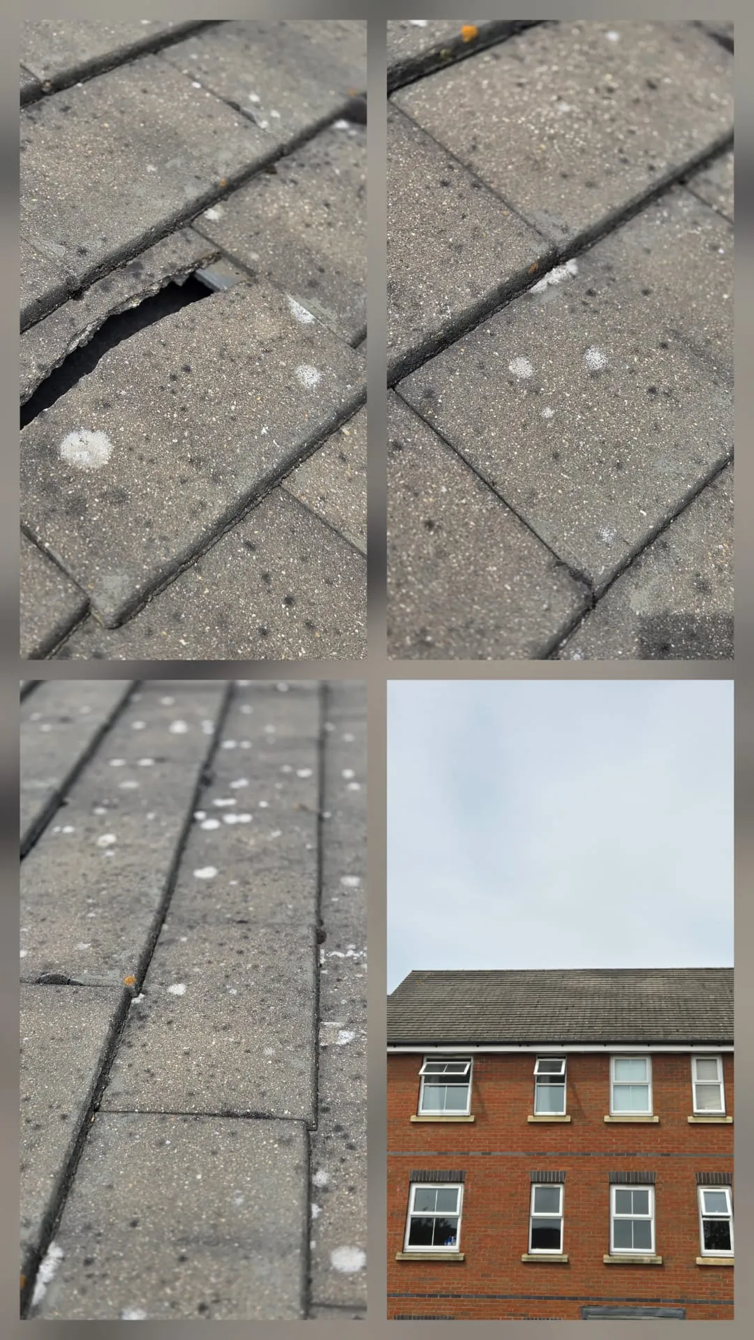 A collage of roof tiles, including a broken roof tile with a hole, and other tiles showing moss or lichen, indicating roof damage or a need for cleaning.