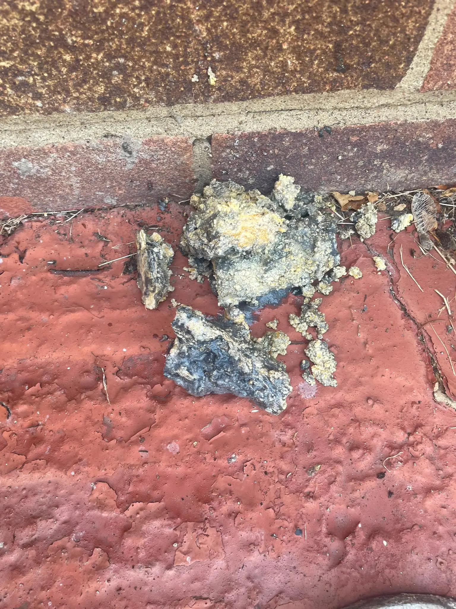 Solidified fat and grease blockage cleared from an outside drain
