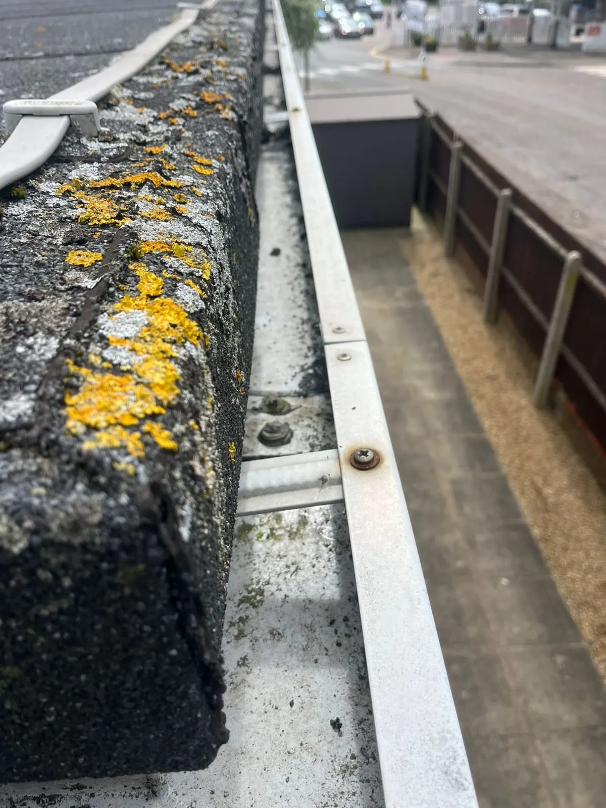 Close-up of yellow lichen and moss on a roof parapet, demonstrating the need for professional roof cleaning and moss removal services in Felixstowe.