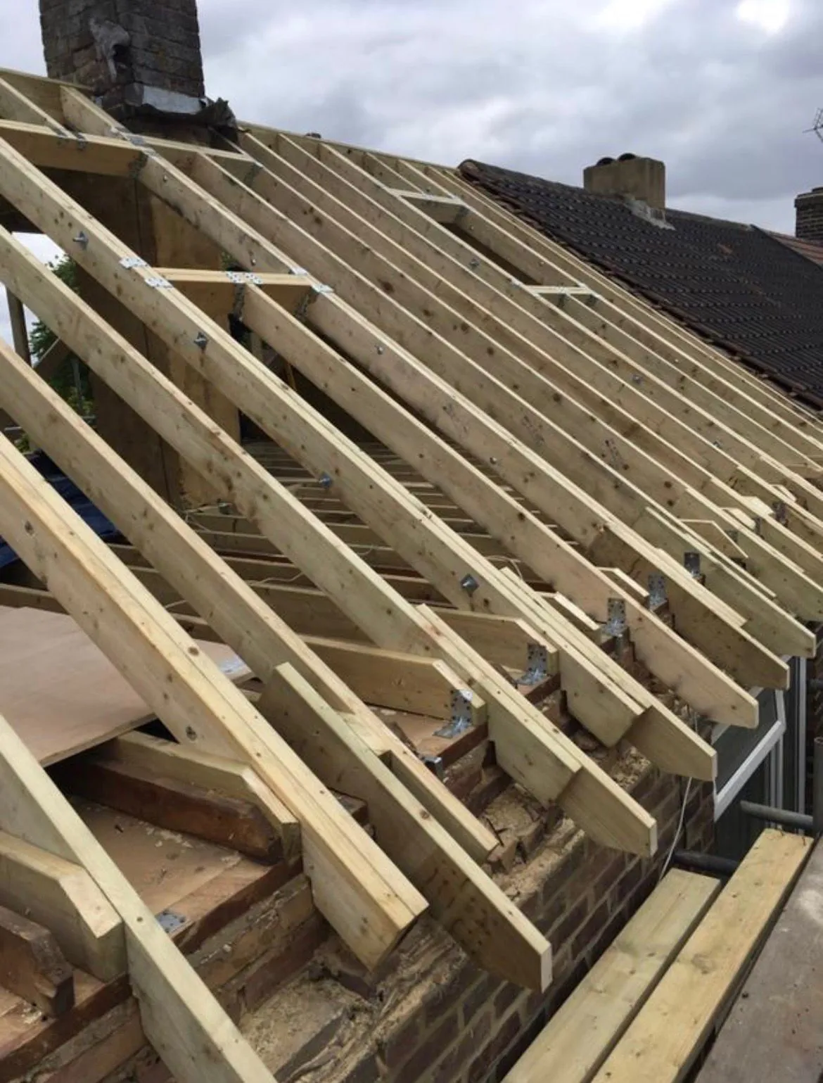 New structural timber roof rafters and framework during a full roof replacement