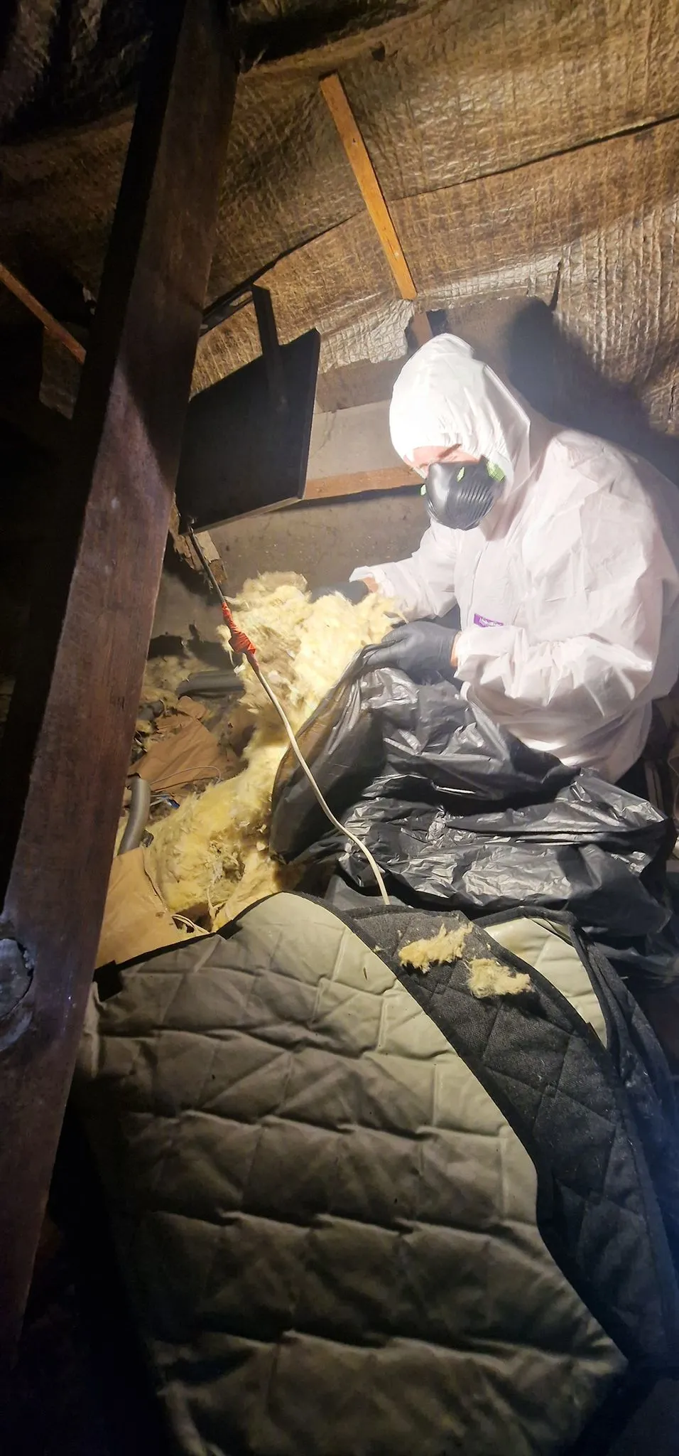 A pest control professional wearing a white hazmat suit and mask removing old, possibly pest-contaminated insulation from an attic or loft space into black refuse bags.