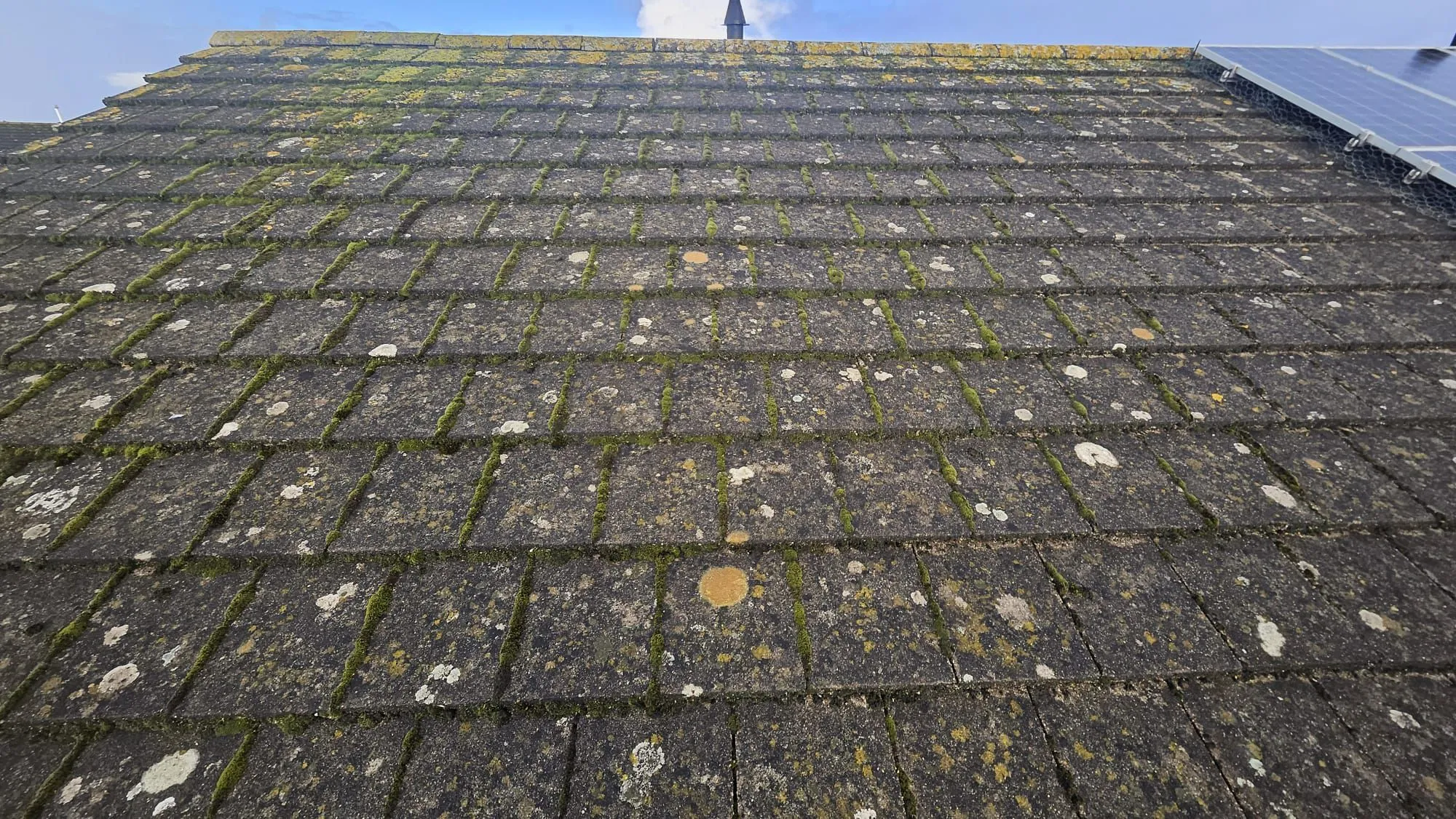 A tiled roof with significant moss and lichen growth in Gloucestershire