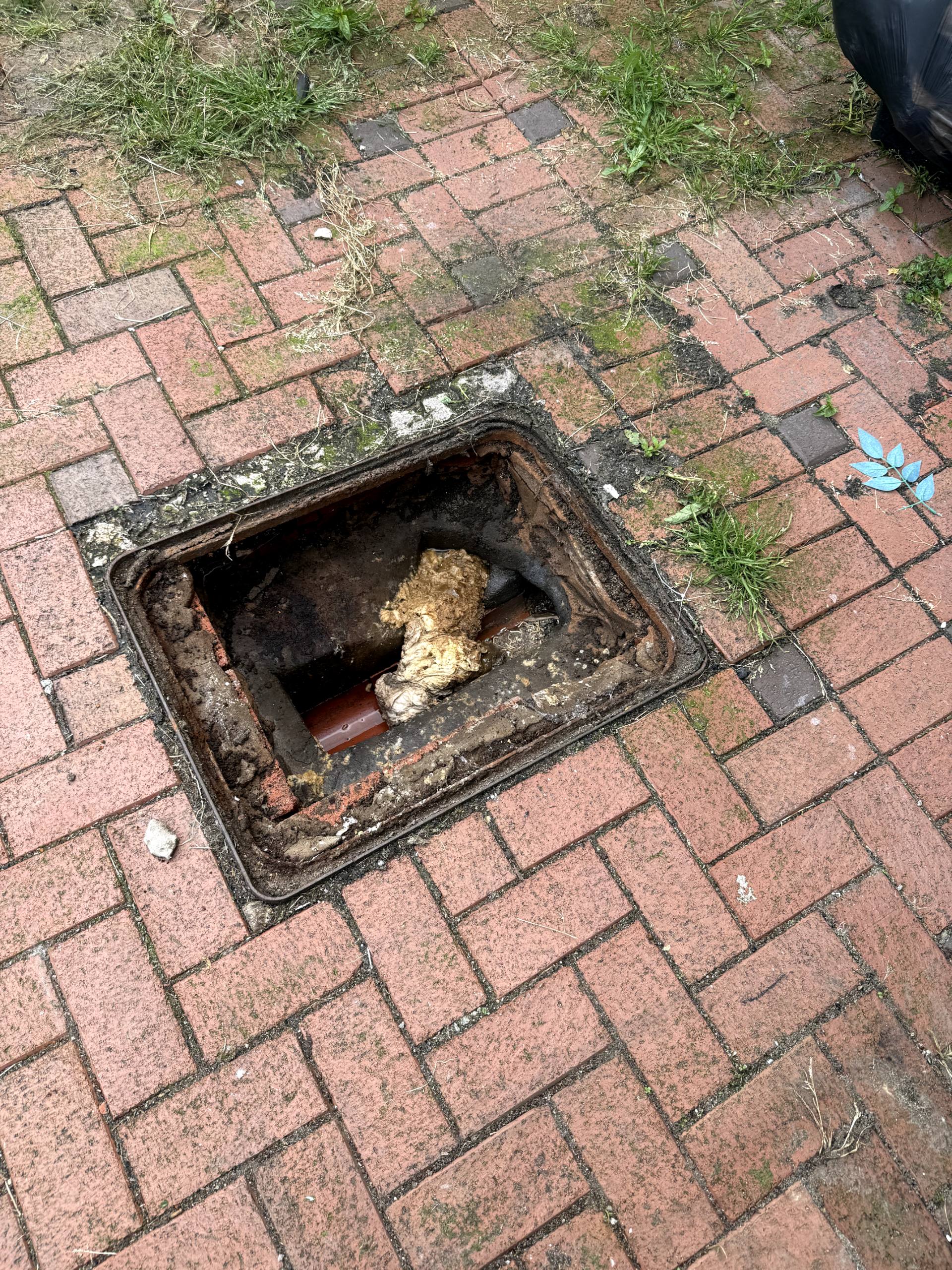 Blocked drain inspection chamber on a brick-paved driveway in Darwen, showing a severe blockage requiring unblocking services.