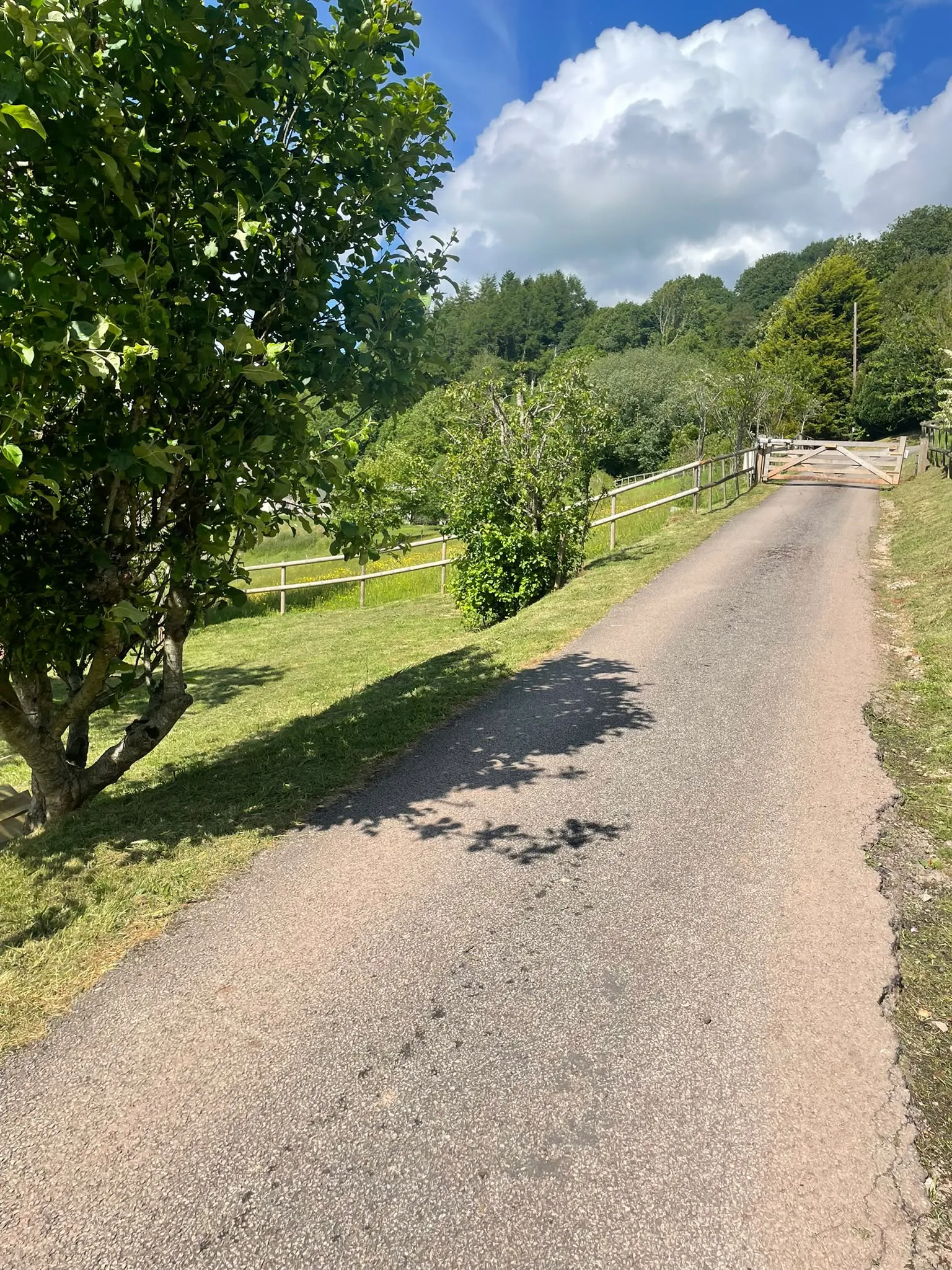 Timber driveway gate and post and rail boundary fencing along a rural driveway in South Wales