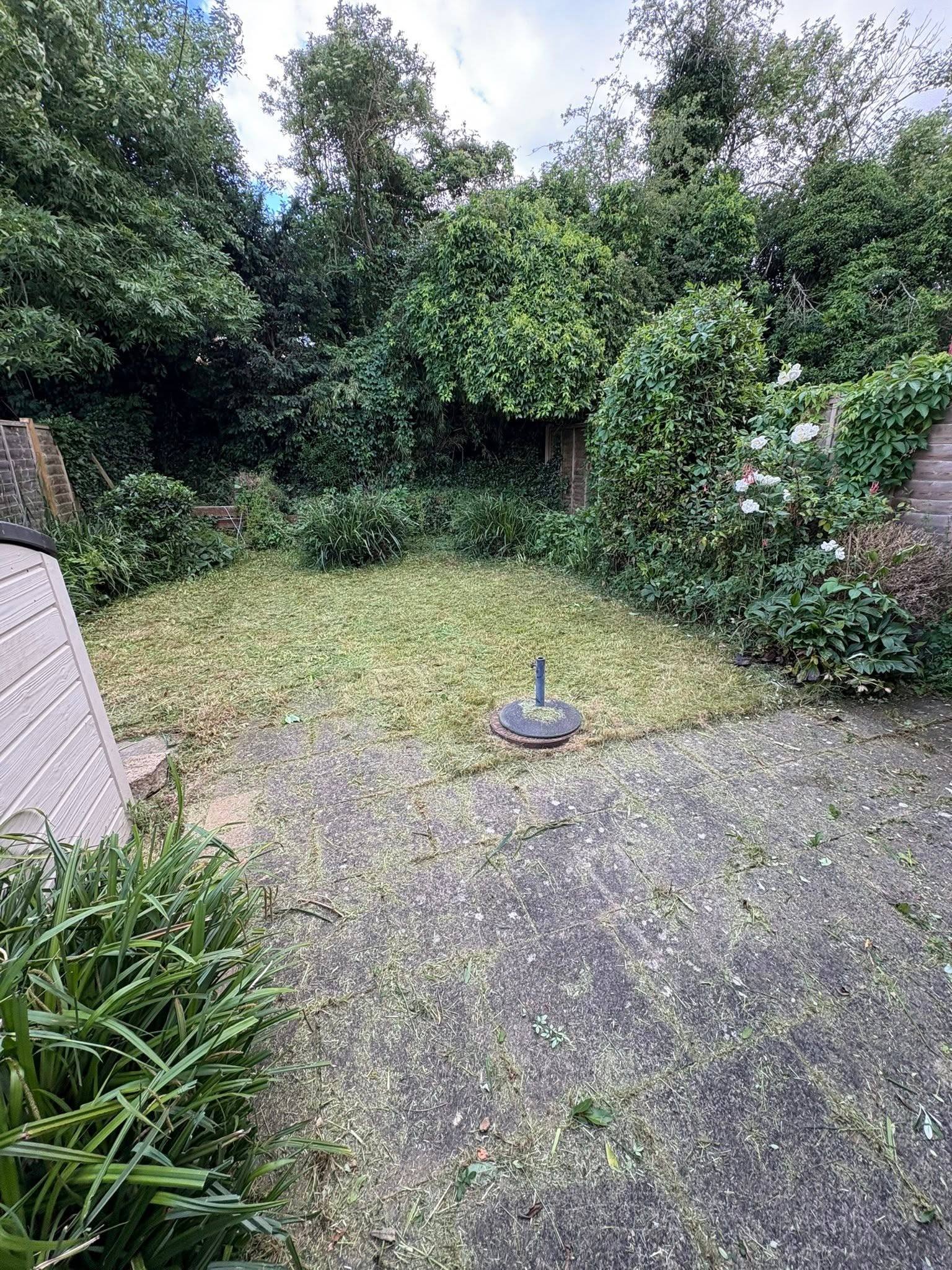 A garden clearance project in progress with a patio in the foreground and mature trees and shrubs in the background