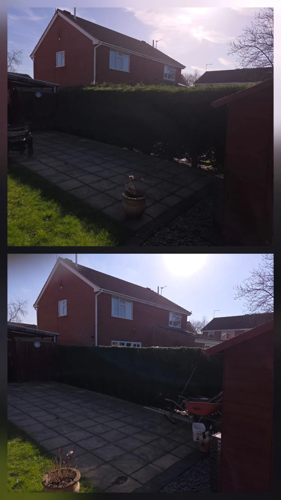 Before and after image of garden maintenance, showing an overgrown hedge trimmed back to a neat boundary next to a paved patio.