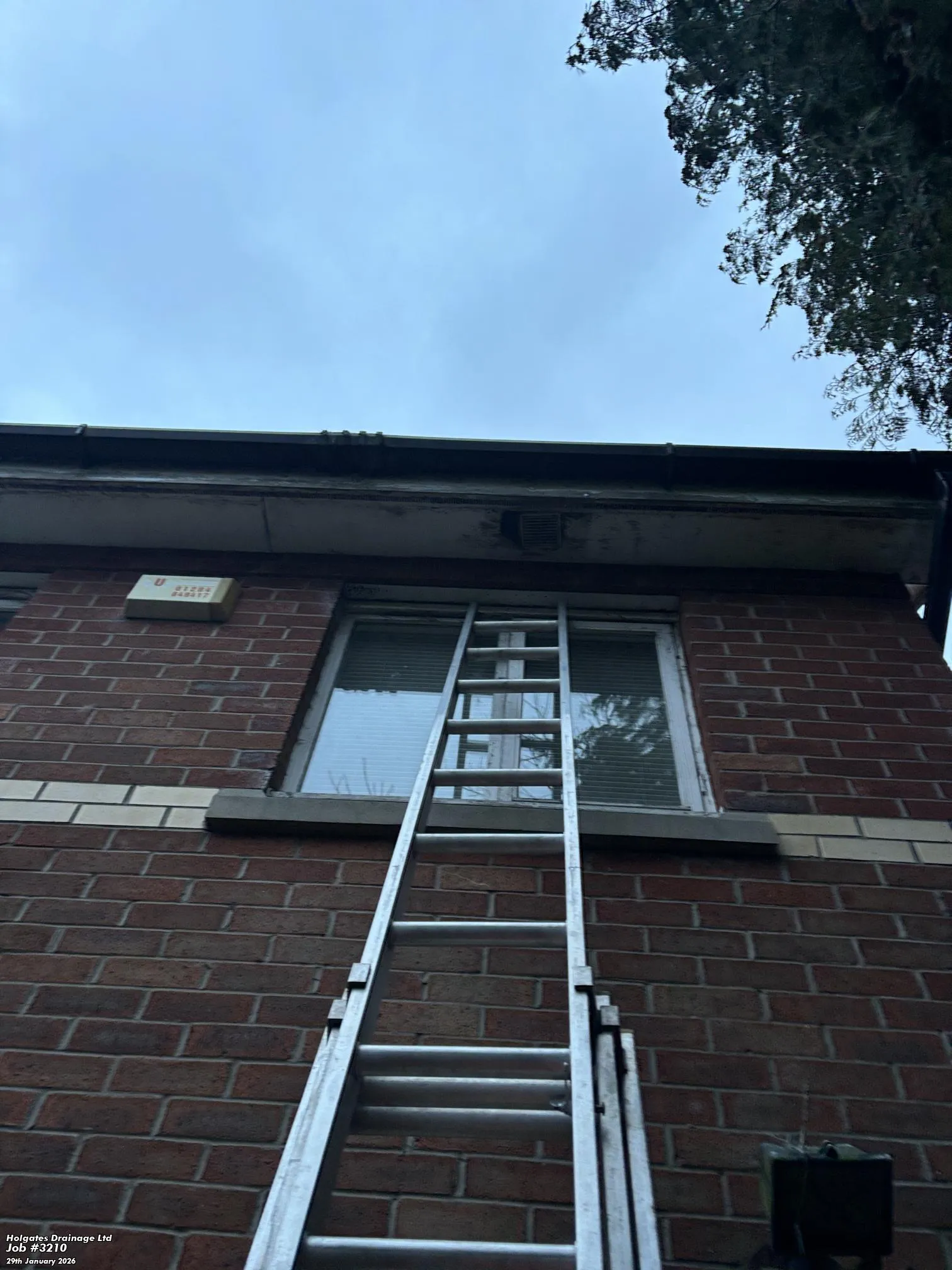 Commercial Pest Control by Pest Medic