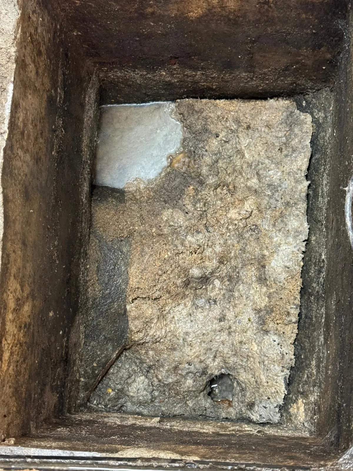 Close-up of a drain gully completely blocked by a thick layer of fat, grease, and waste, with a small pool of water at the top.