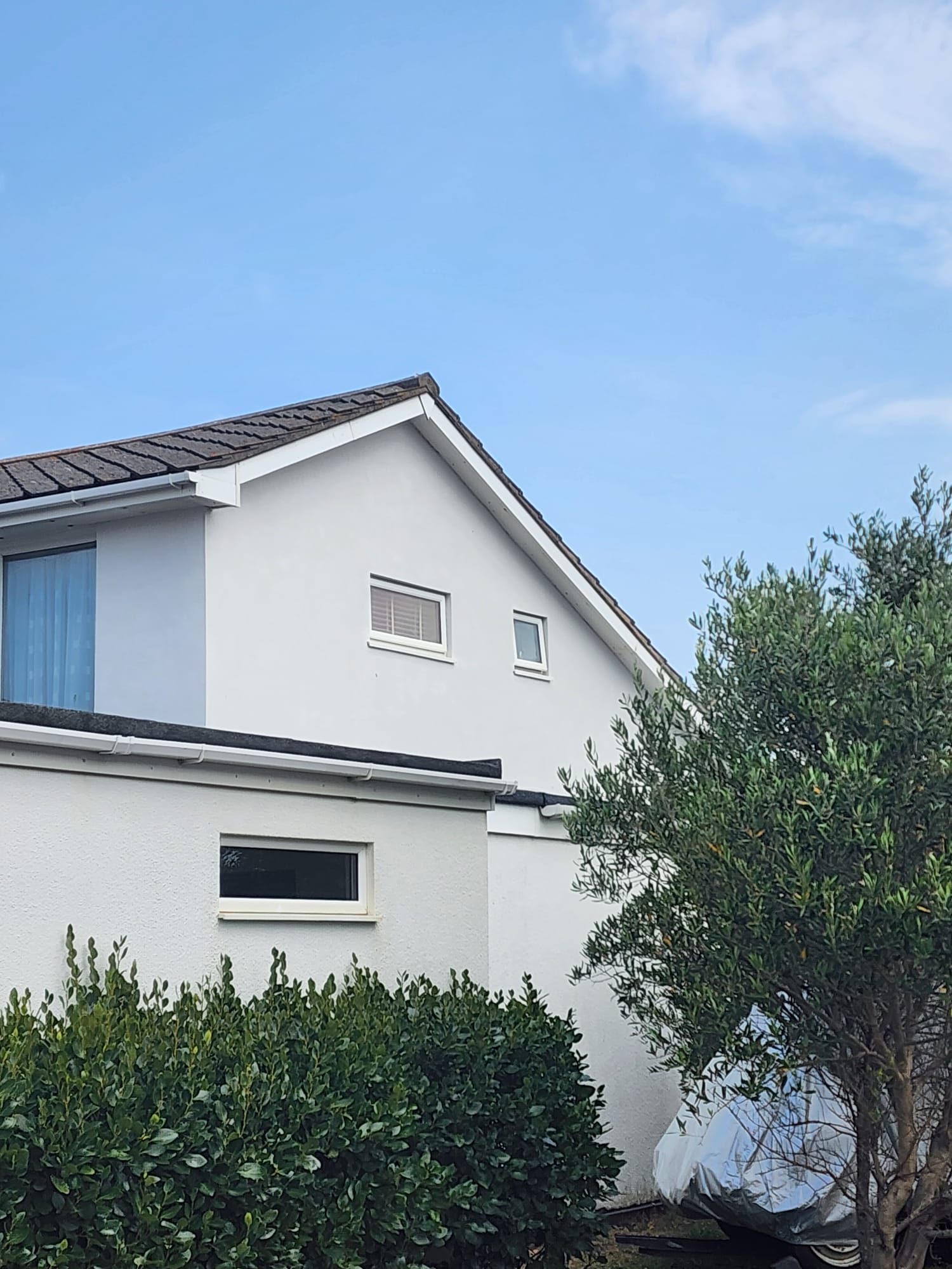 Exterior view of a house with professional white rendering
