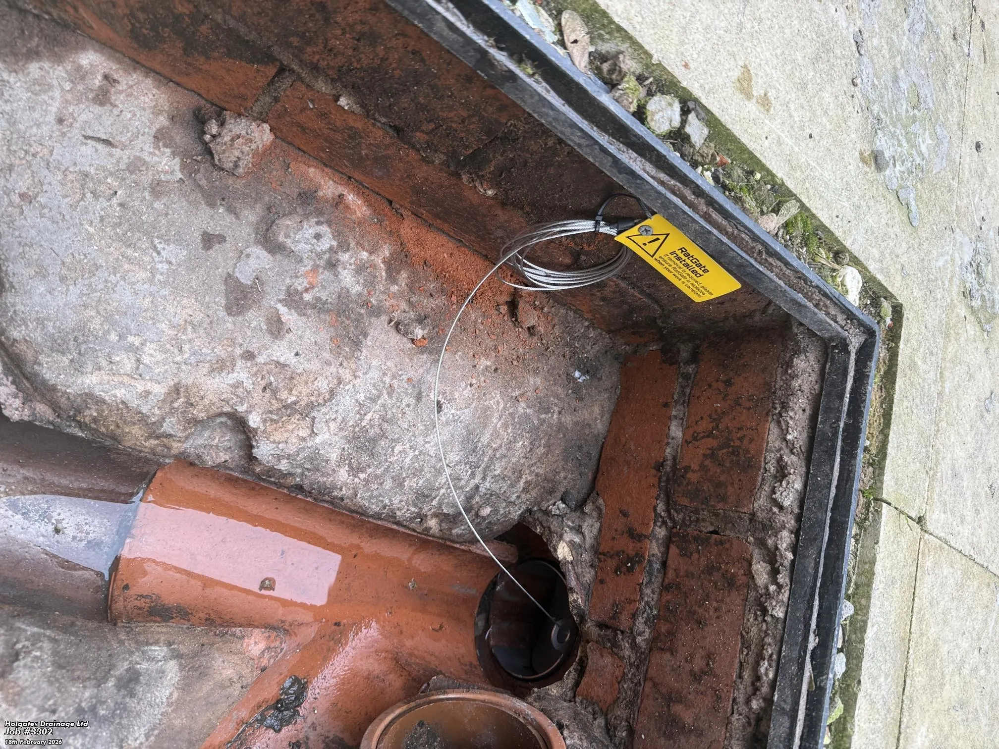 A professional RatGate rodent proofing device installed in a drainage pipe with a yellow warning tag in a brick inspection chamber.