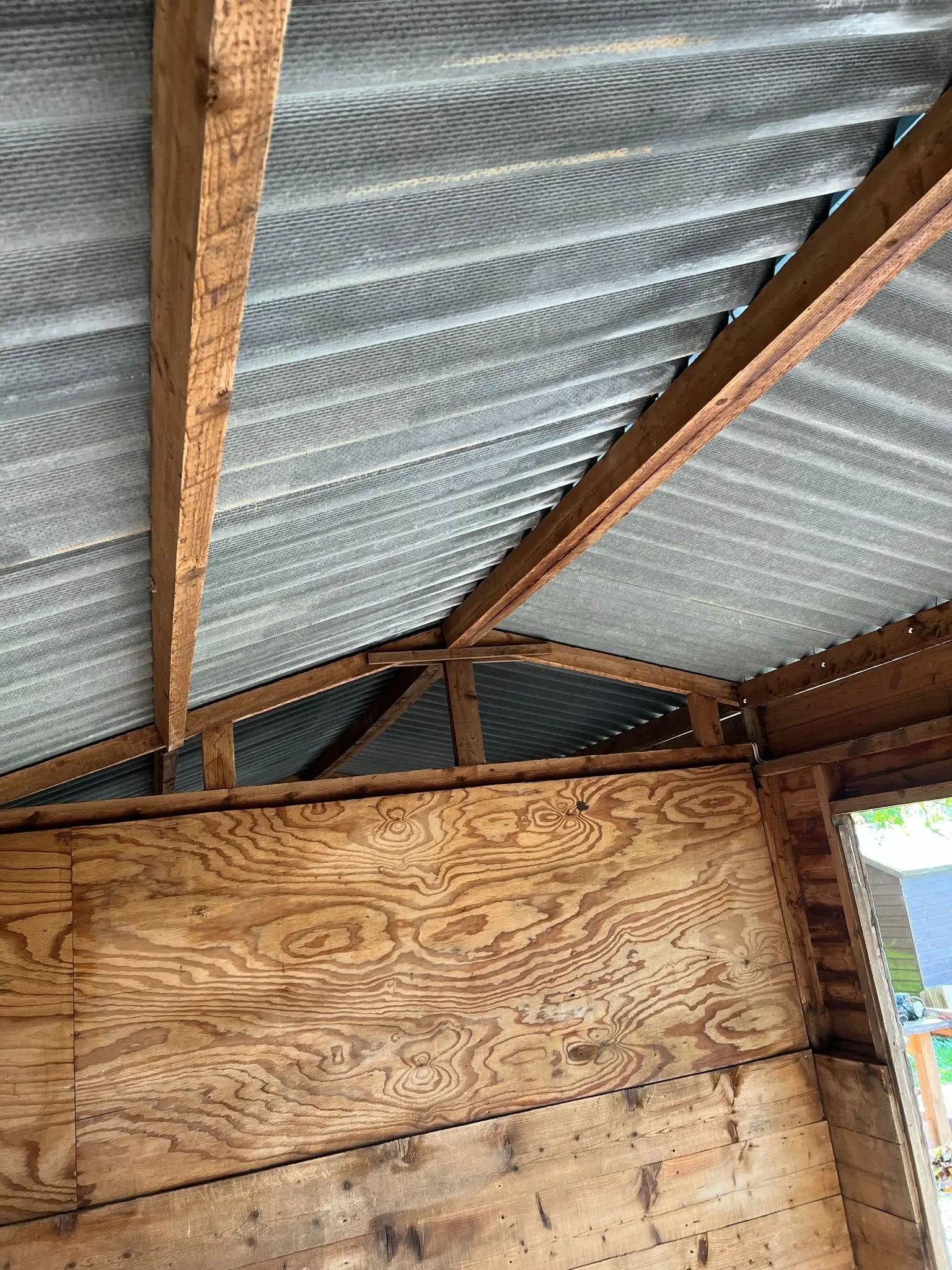 Internal view of the timber frame and corrugated roof of a farm shed.
