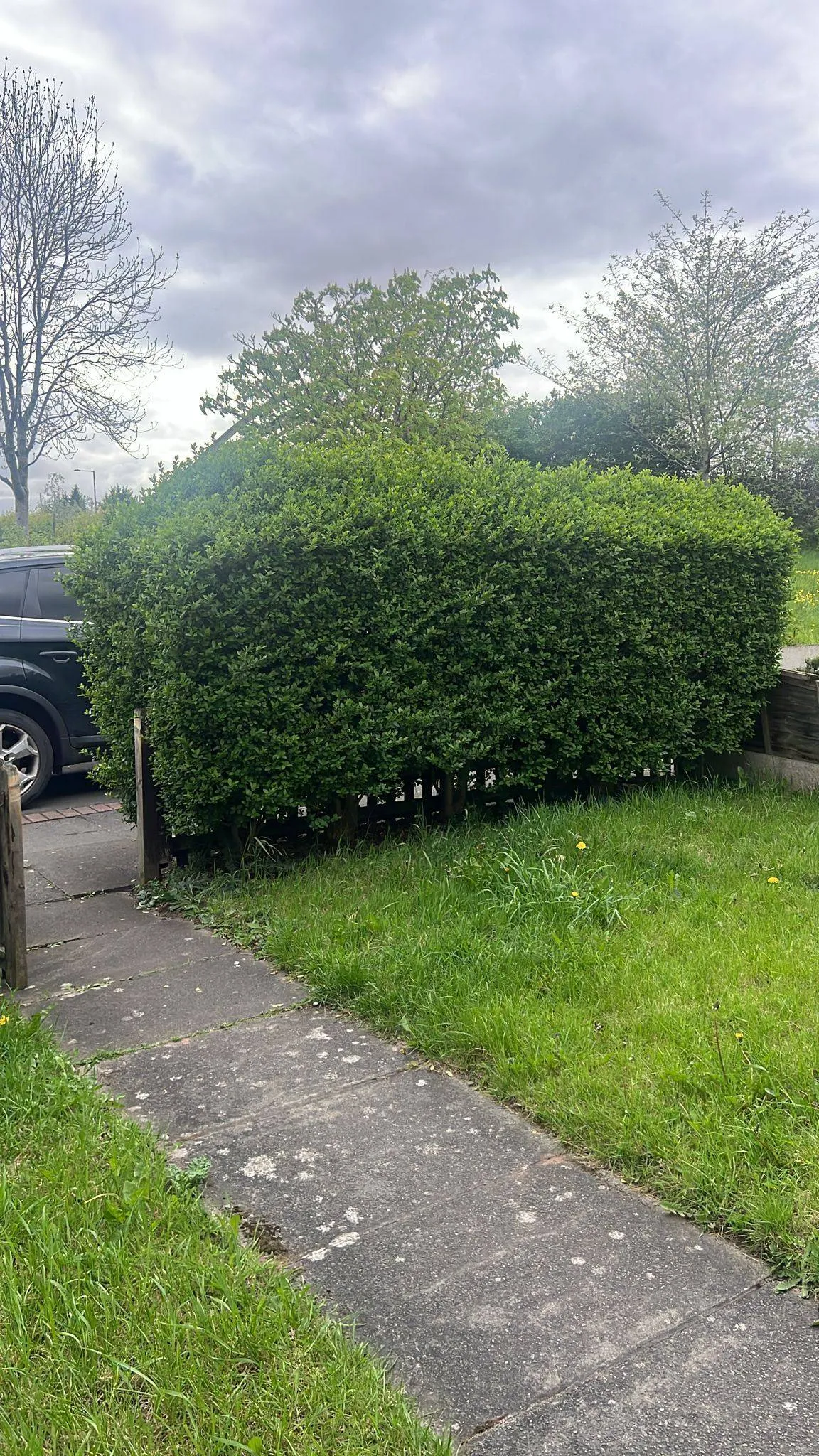 Overgrown garden hedge and unkempt lawn alongside a paved path at a residential property in Birmingham