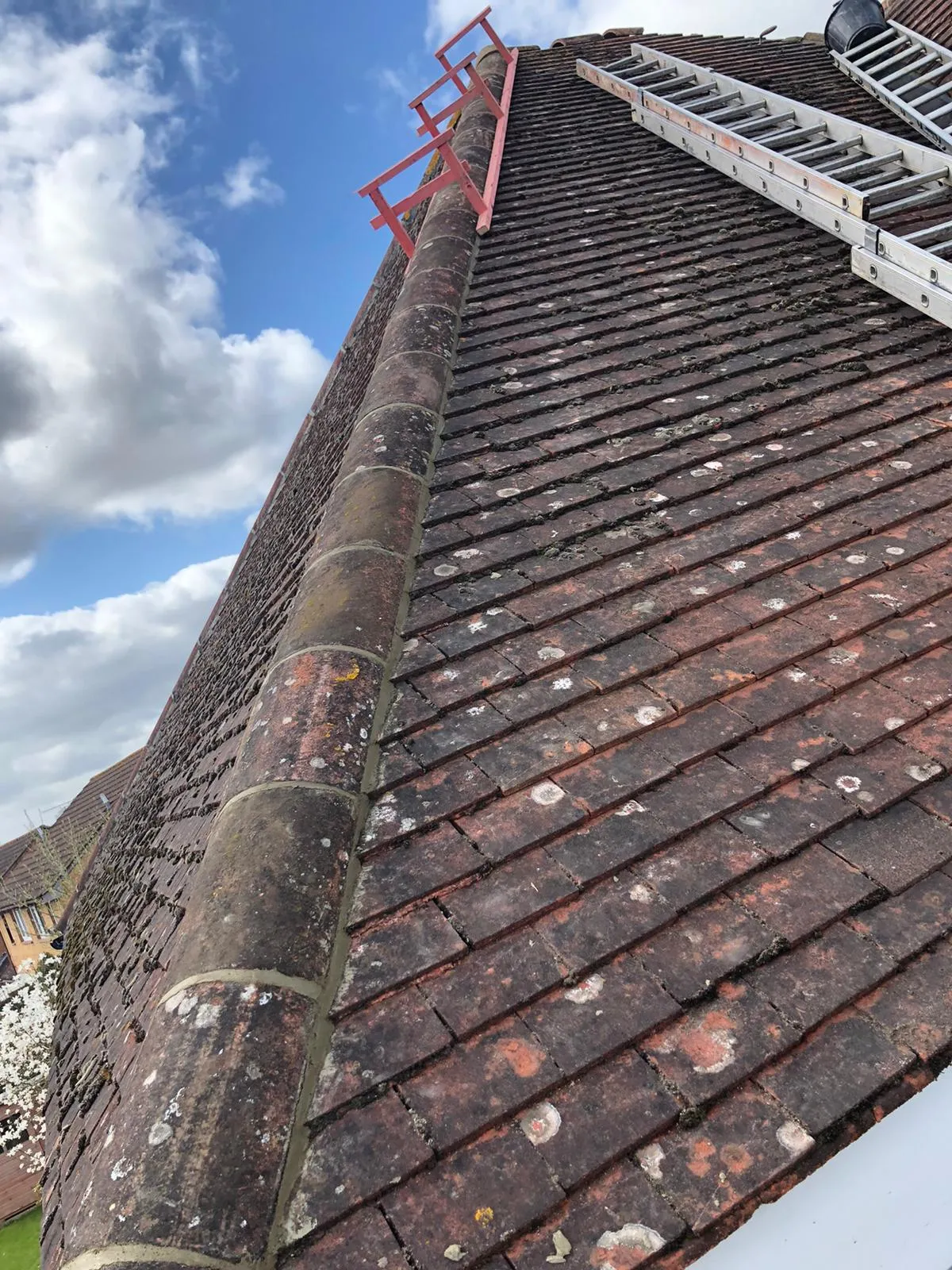 An old red tiled roof covered in moss and lichen, with roof ladders extended up the slope, indicating ongoing maintenance or repairs.
