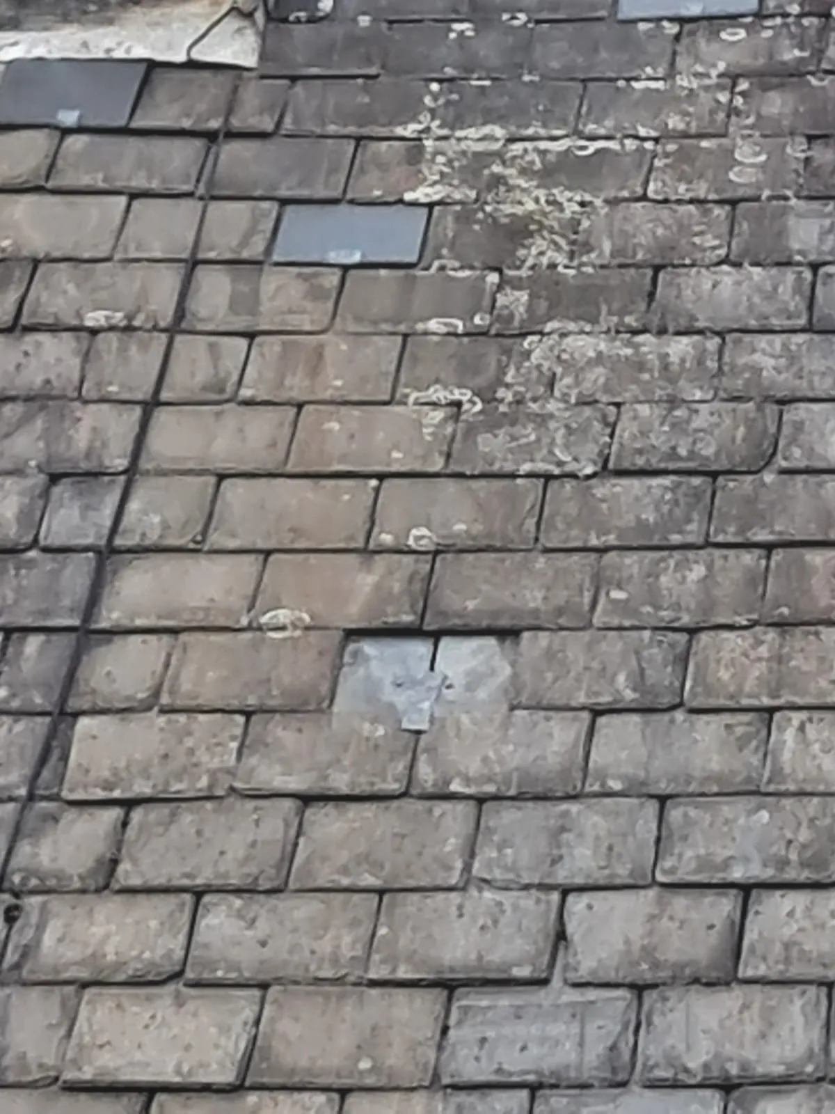 WhatsApp Image 2025-11-05 at 08.24.37 (1).jpeg.webp