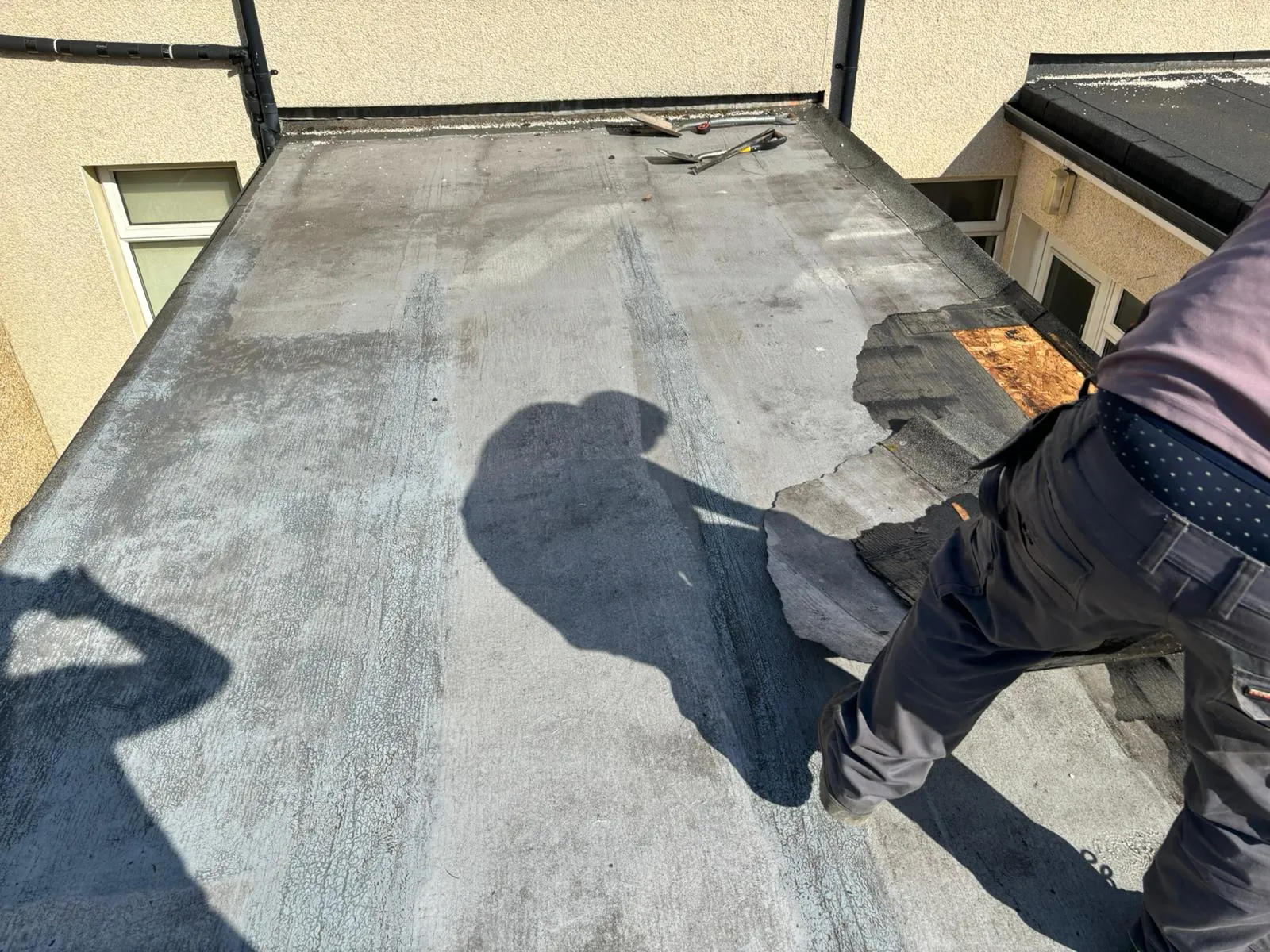 A roofer peeling back damaged felt on a flat roof during a replacement project.