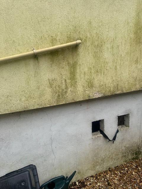 Exterior residential wall with green damp staining on the render and cracks in the lower white masonry