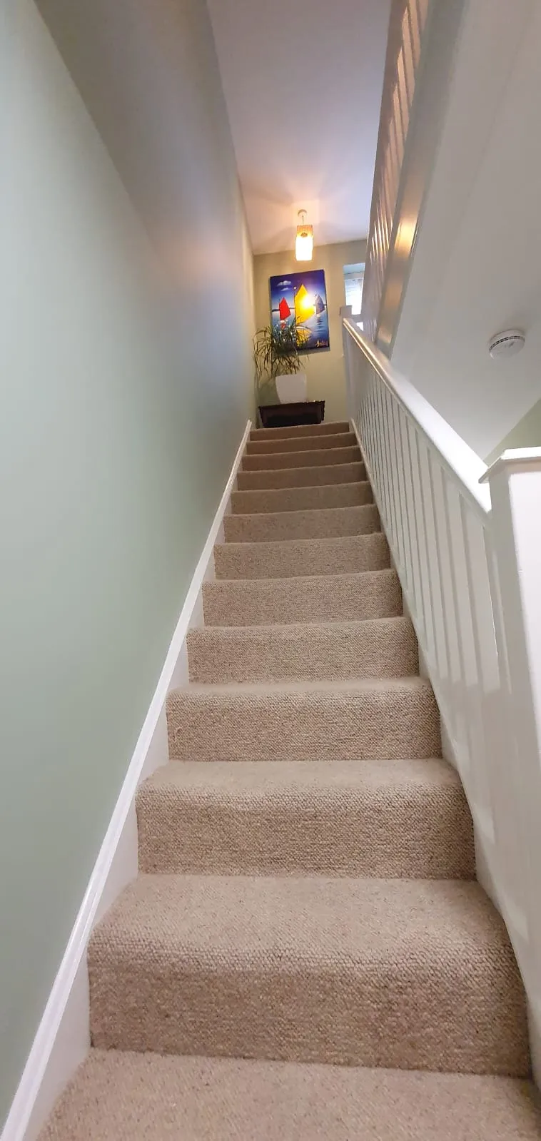 Painting & Decorating by Flex Property Services