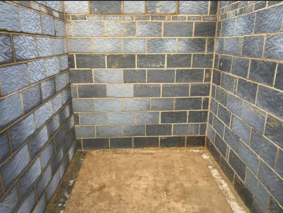 Aline Construction on-site