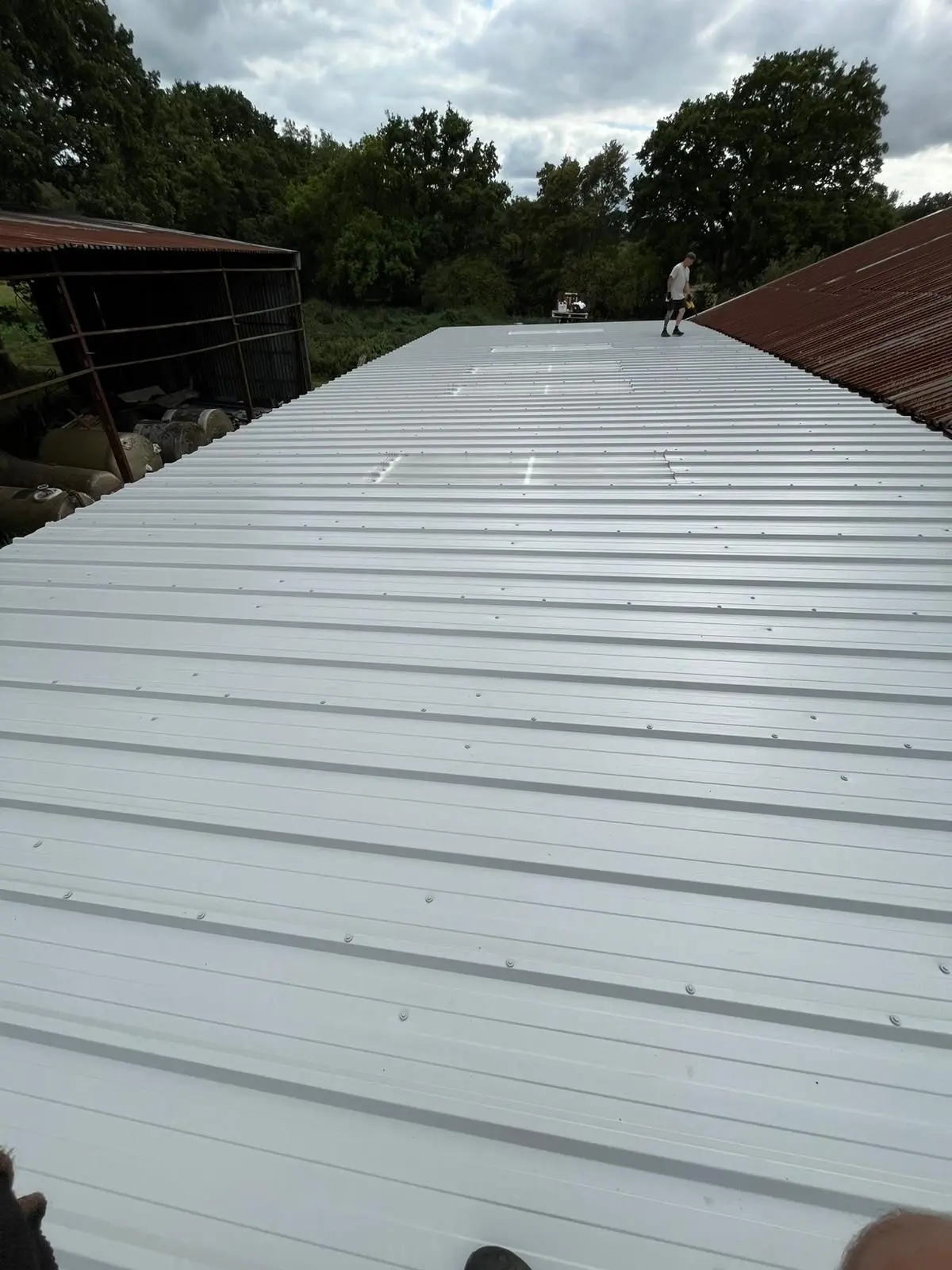 Newly installed corrugated steel roofing and weather-resistant cladding on an agricultural farm shed, demonstrating professional installation by ER3 Group LTD.